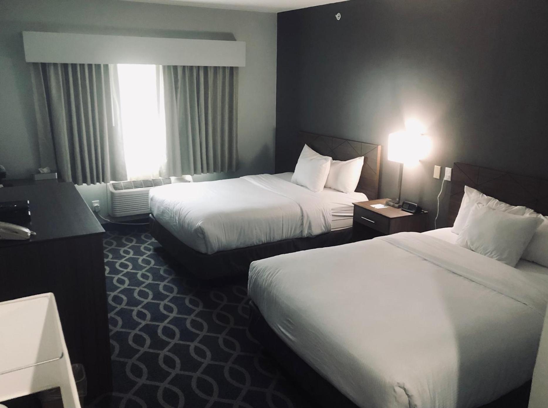 Wingate by Wyndham Humble/Houston Intercontinental Airport photo 80