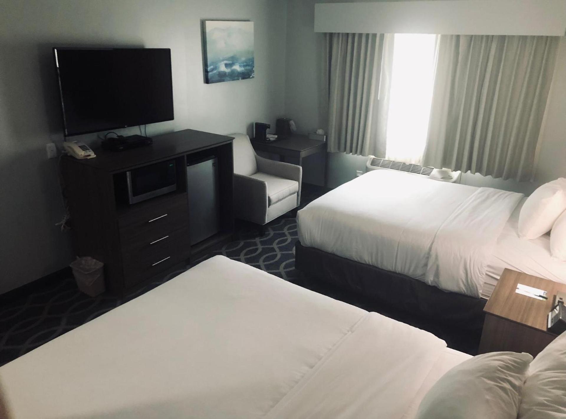 Wingate by Wyndham Humble/Houston Intercontinental Airport photo 79
