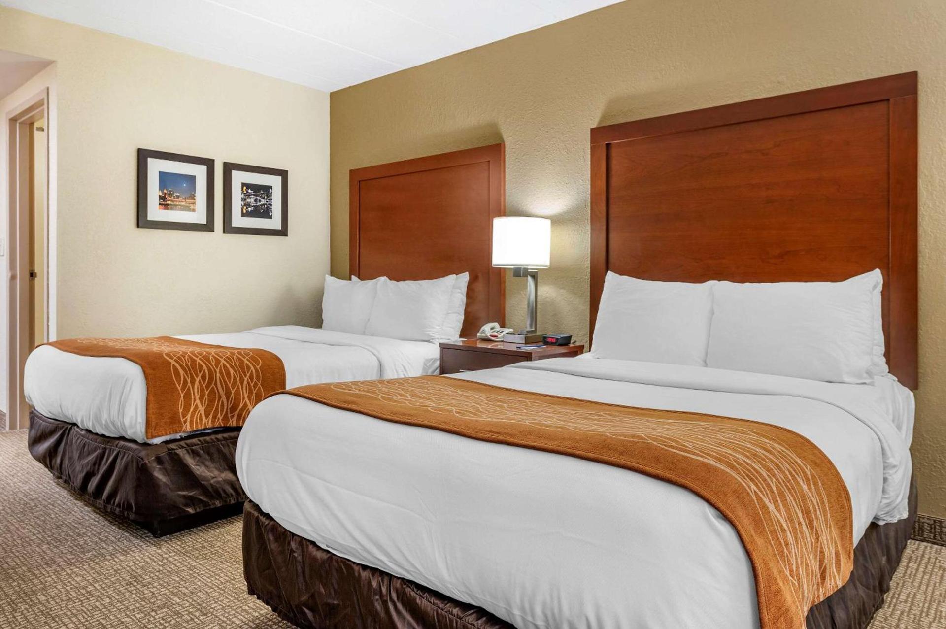 Comfort Inn Cincinnati Northeast photo 13