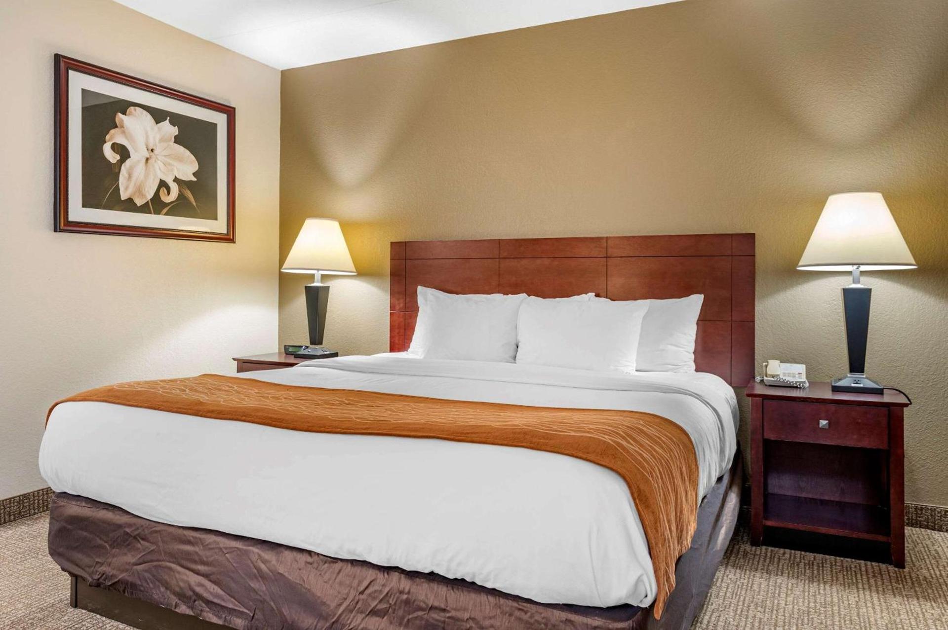 Comfort Inn Cincinnati Northeast photo 23