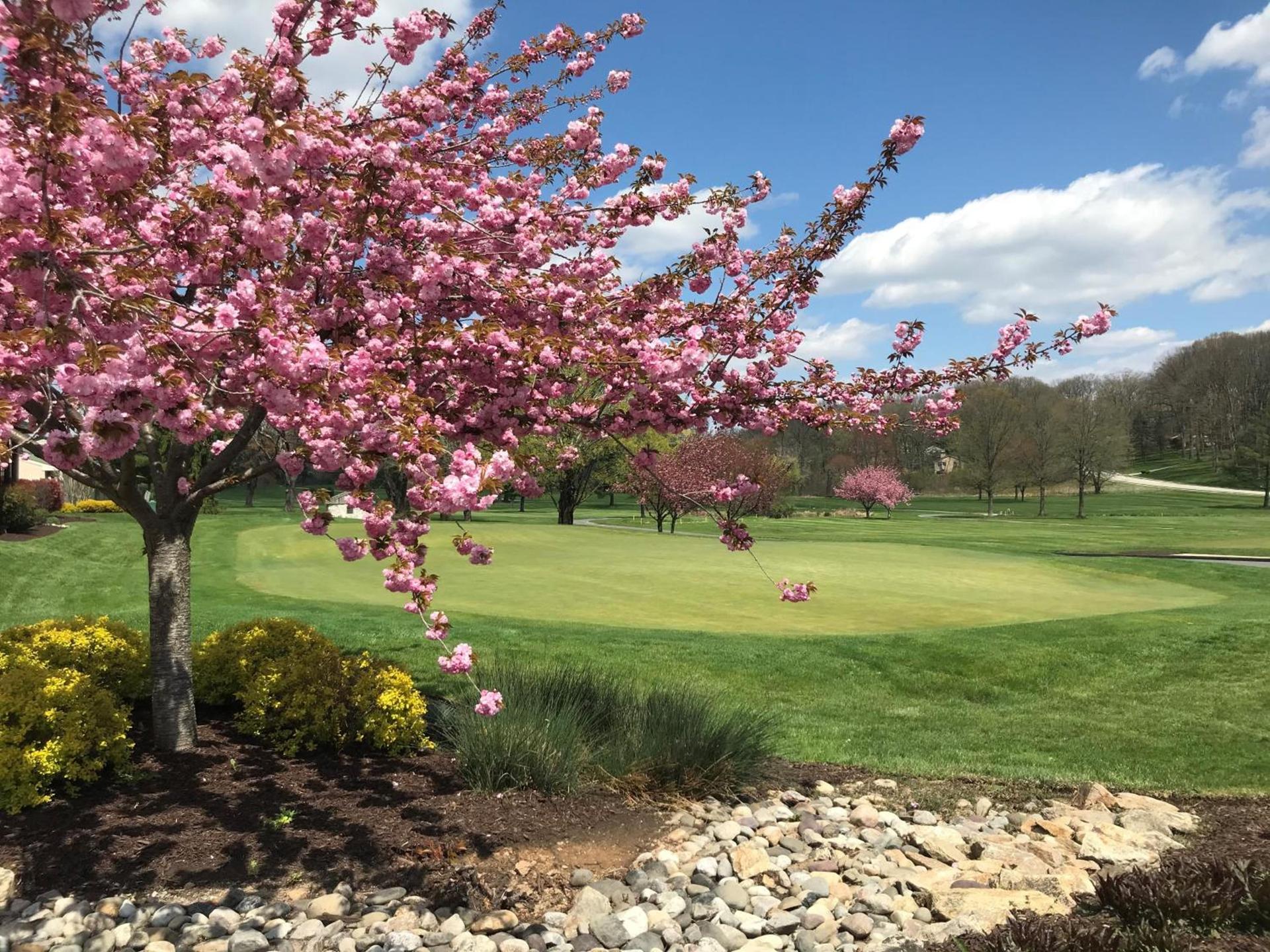 Turf Valley Resort photo 52