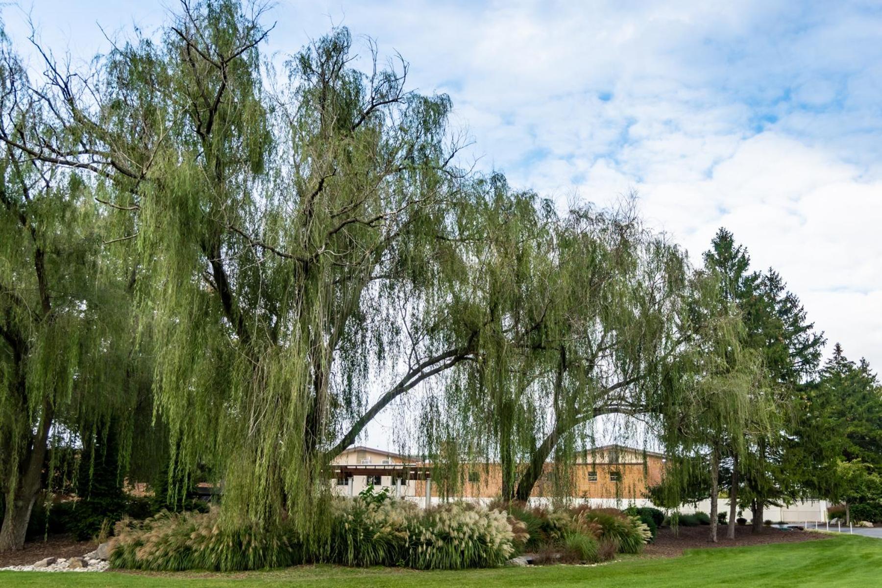 Turf Valley Resort photo 94