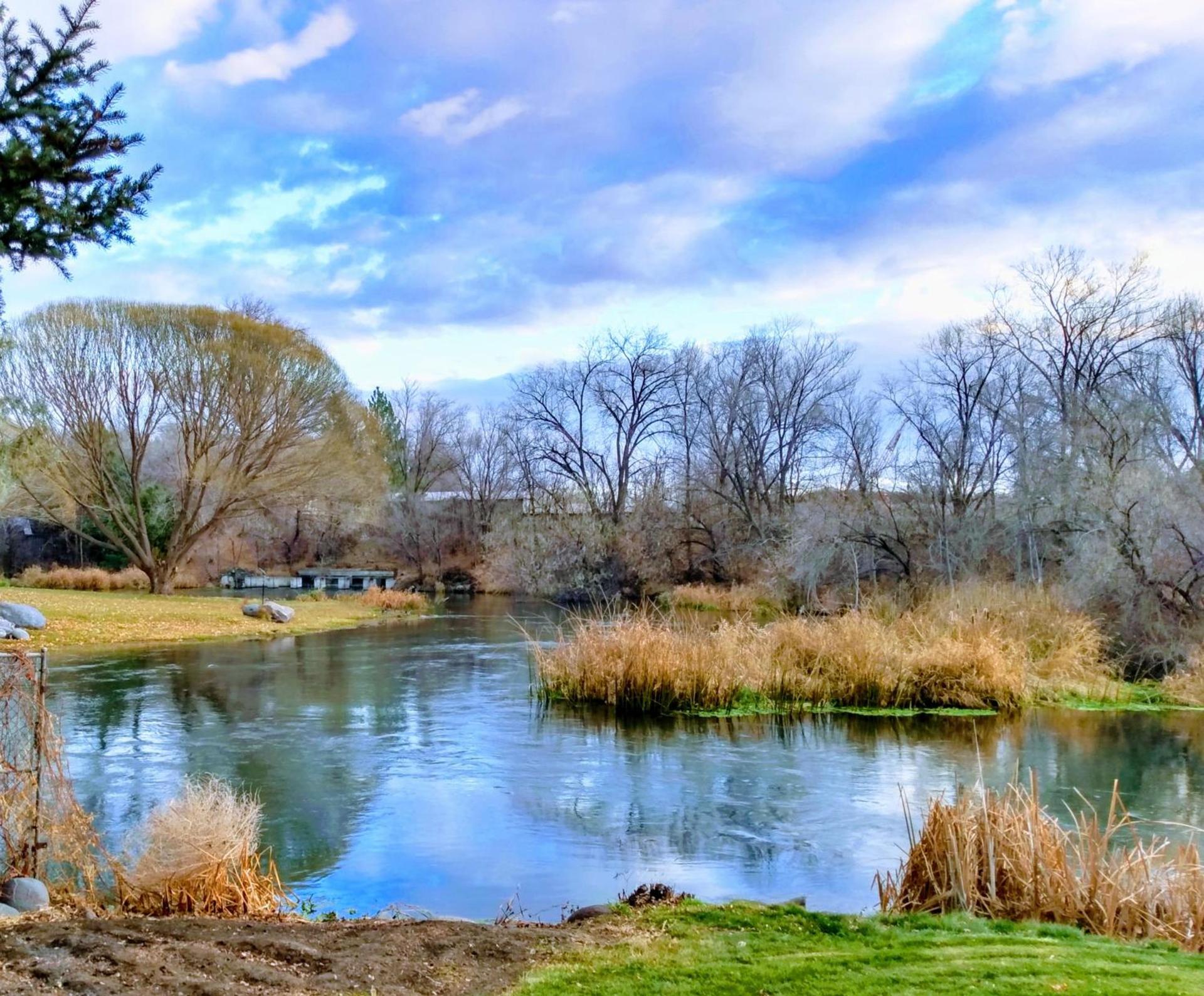 Billingsley Creek photo 46