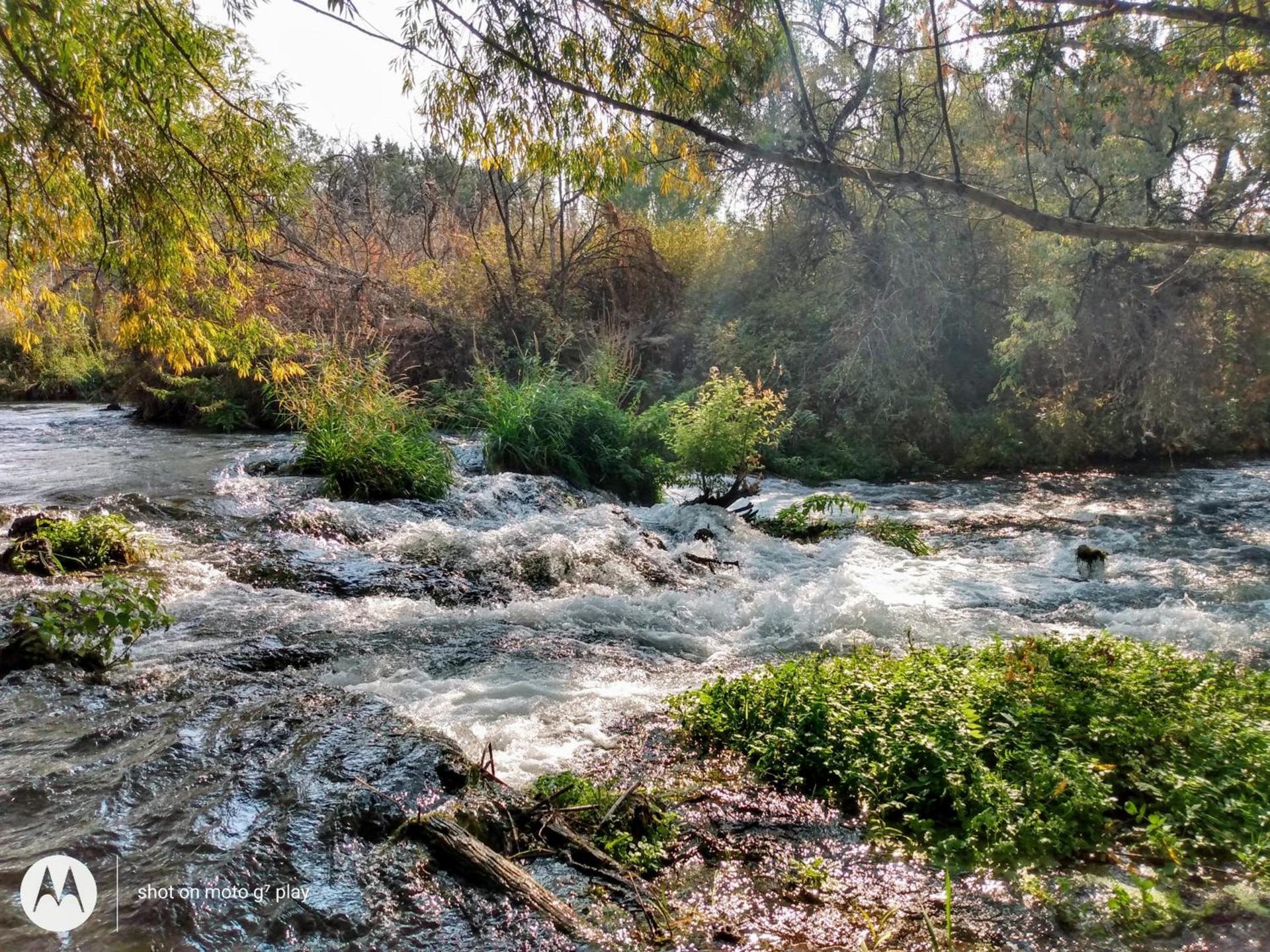 Billingsley Creek photo 4
