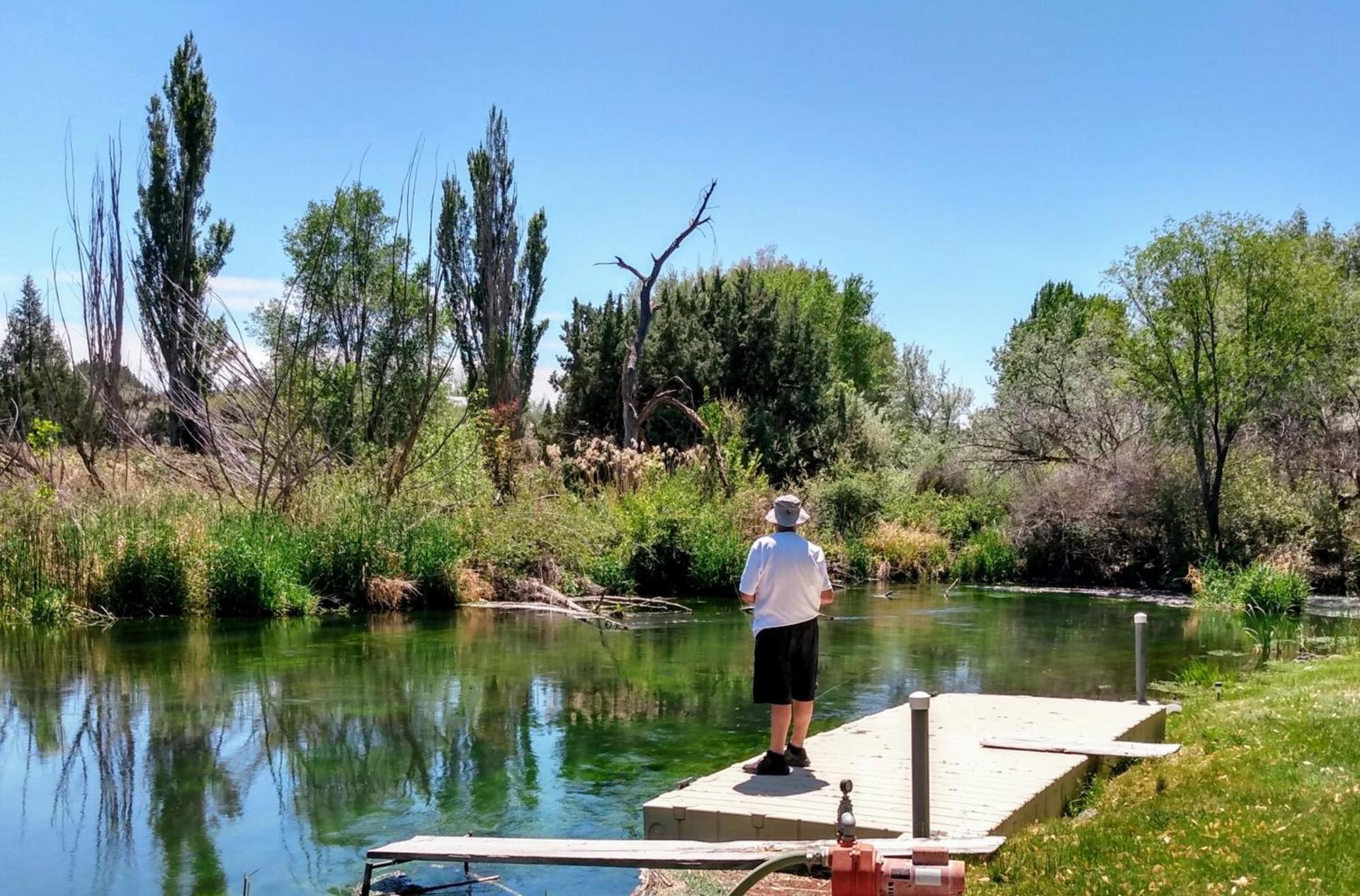 Billingsley Creek photo 10