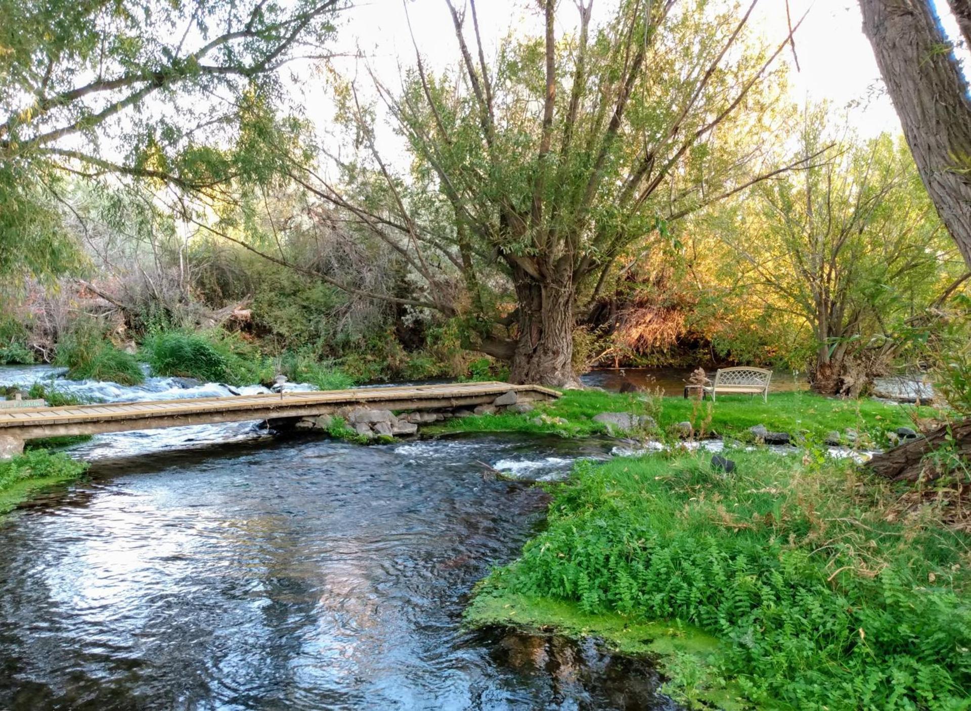 Billingsley Creek photo 15