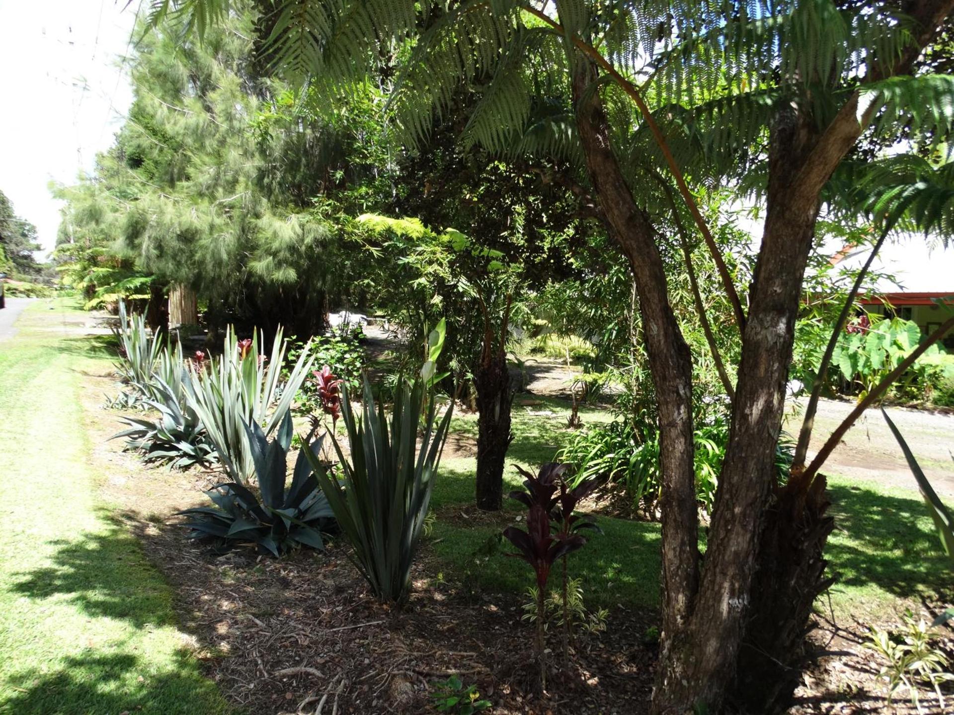 Lokahi Lodge photo 24