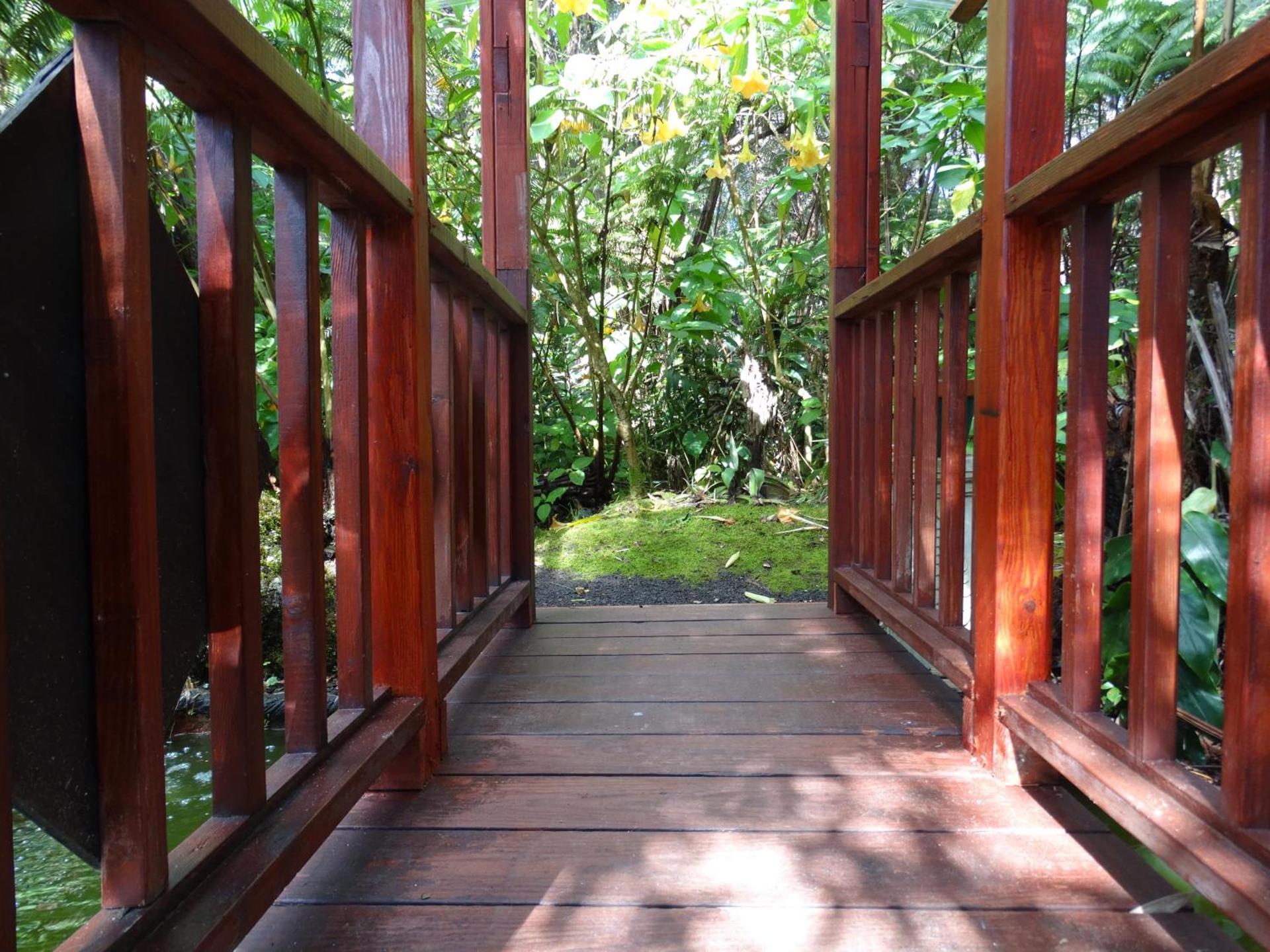 Chalet Kilauea photo 51