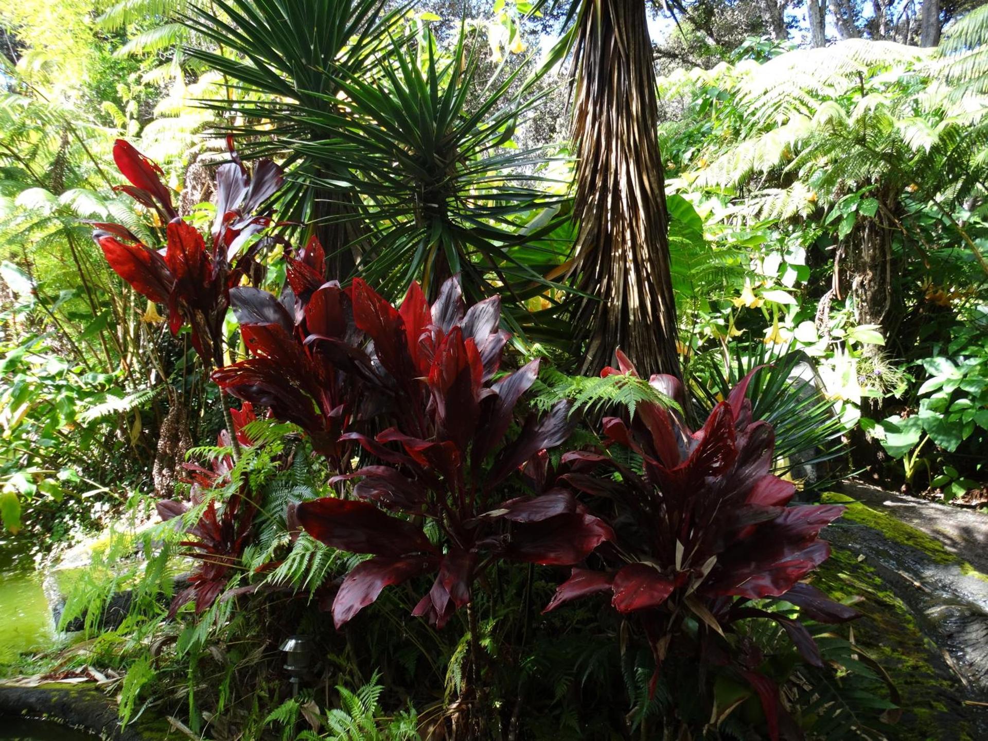 Chalet Kilauea photo 59