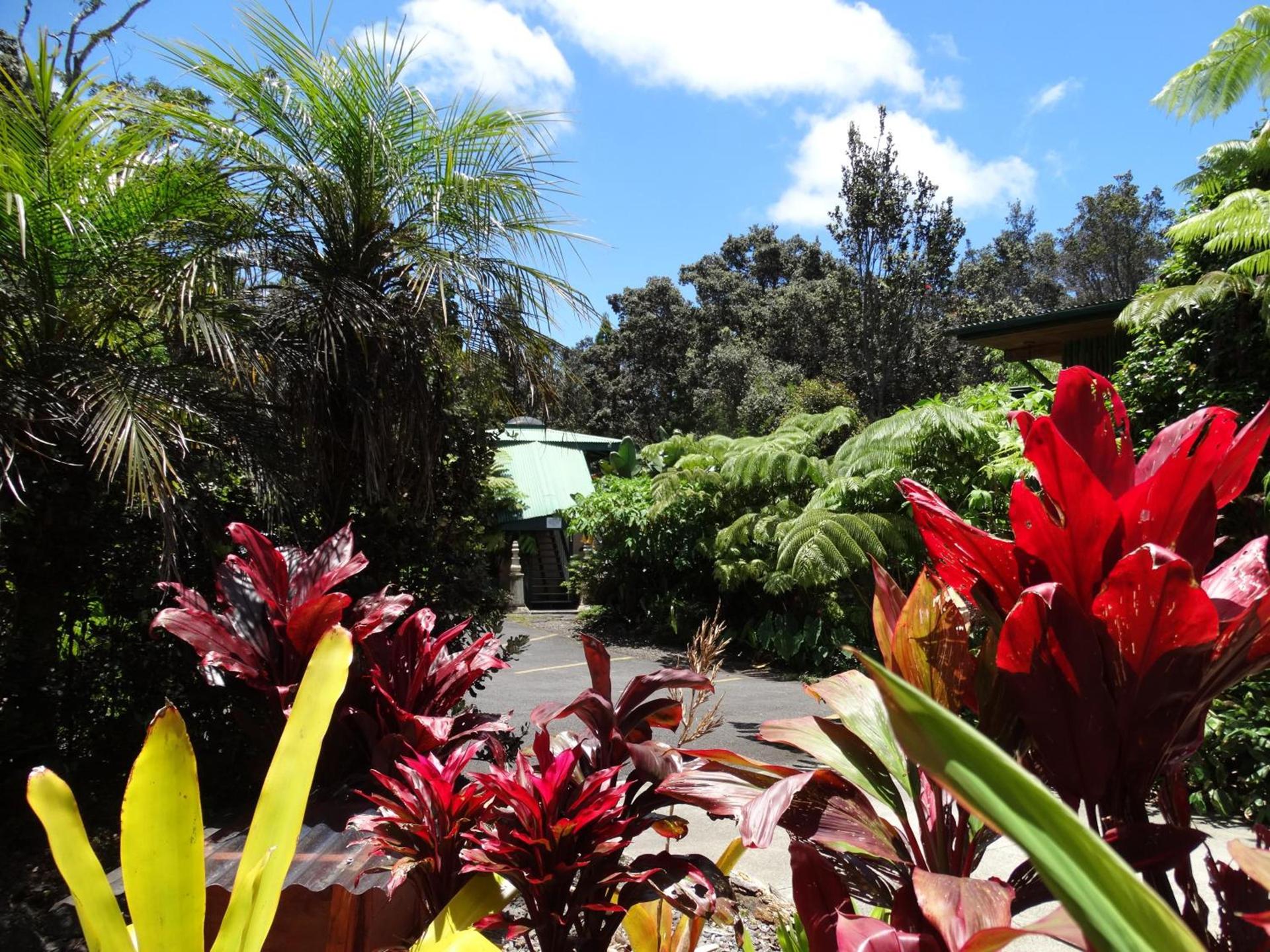 Chalet Kilauea photo 12