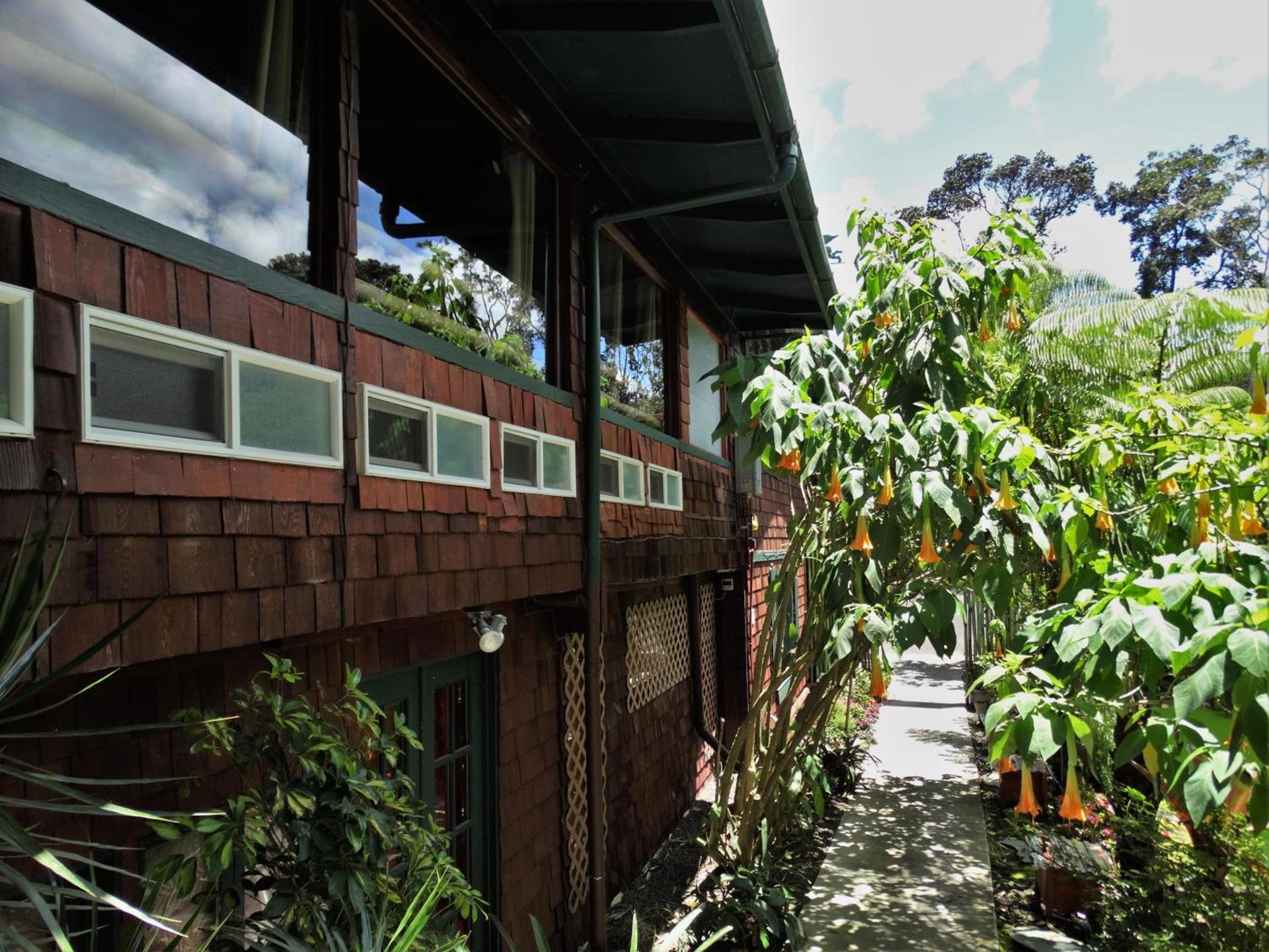 Chalet Kilauea photo 8
