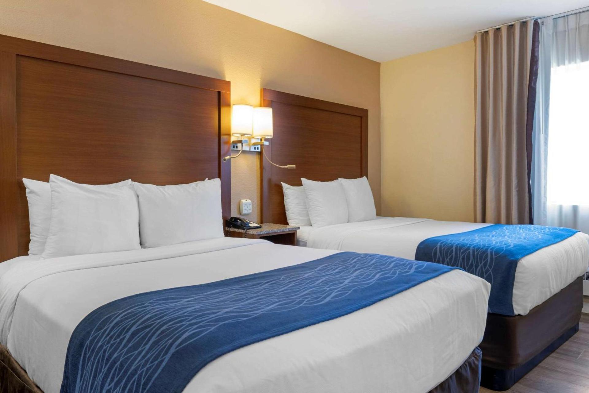 Comfort Inn Gaslamp Convention Center photo 5