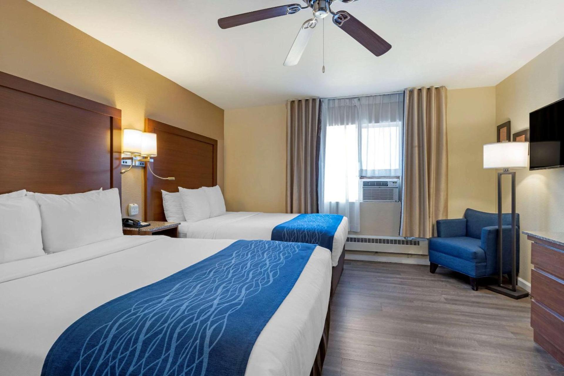 Comfort Inn Gaslamp Convention Center photo 6