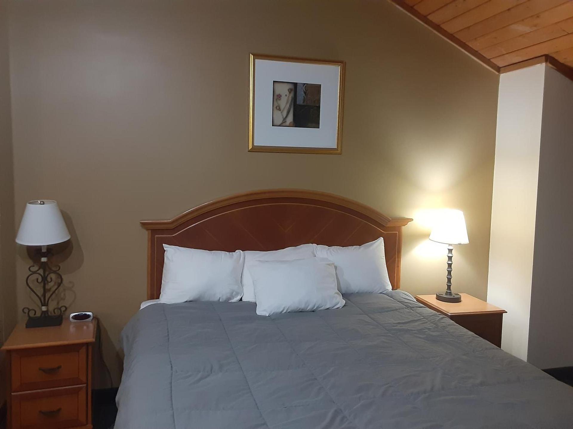 American Inn and Suites Ionia photo 11