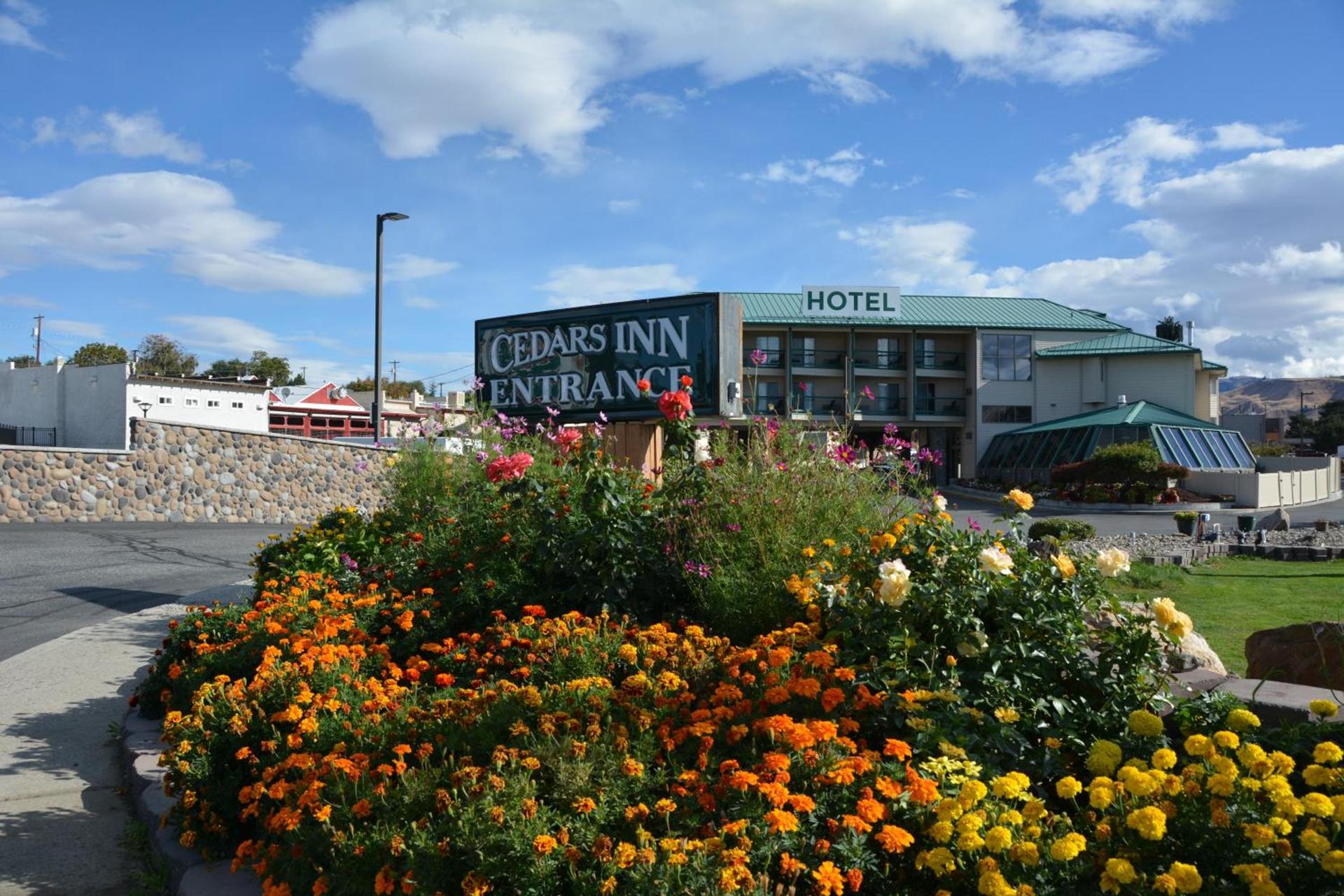 Cedars Inn photo 41