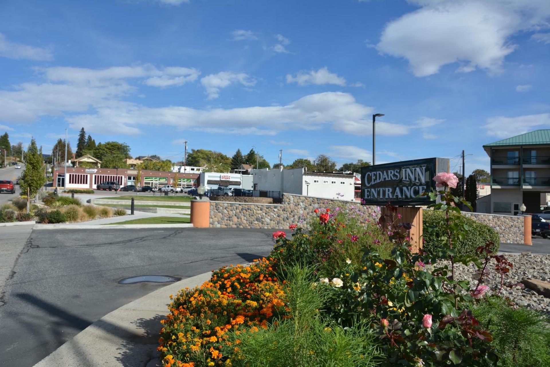 Cedars Inn photo 46