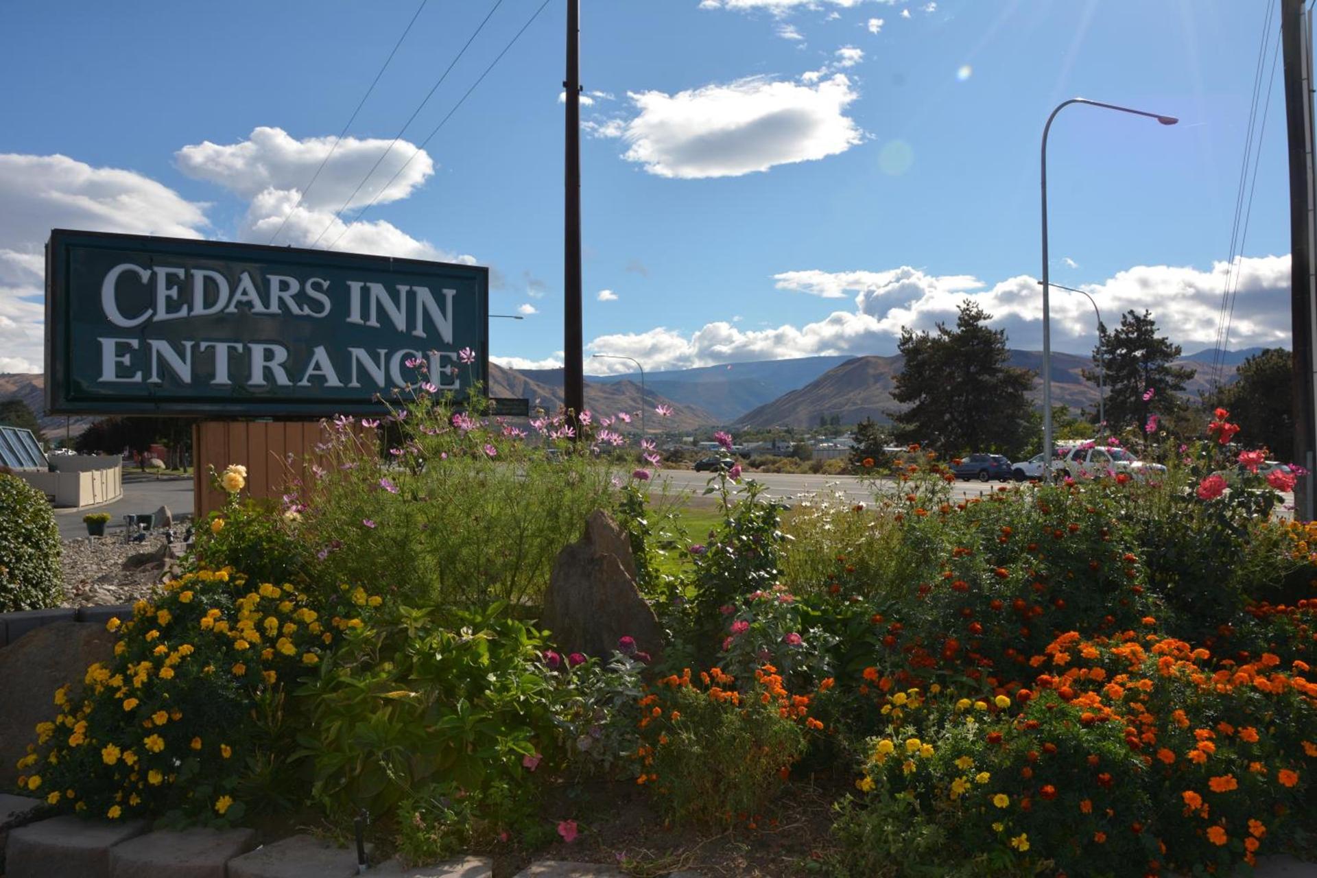 Cedars Inn photo 47
