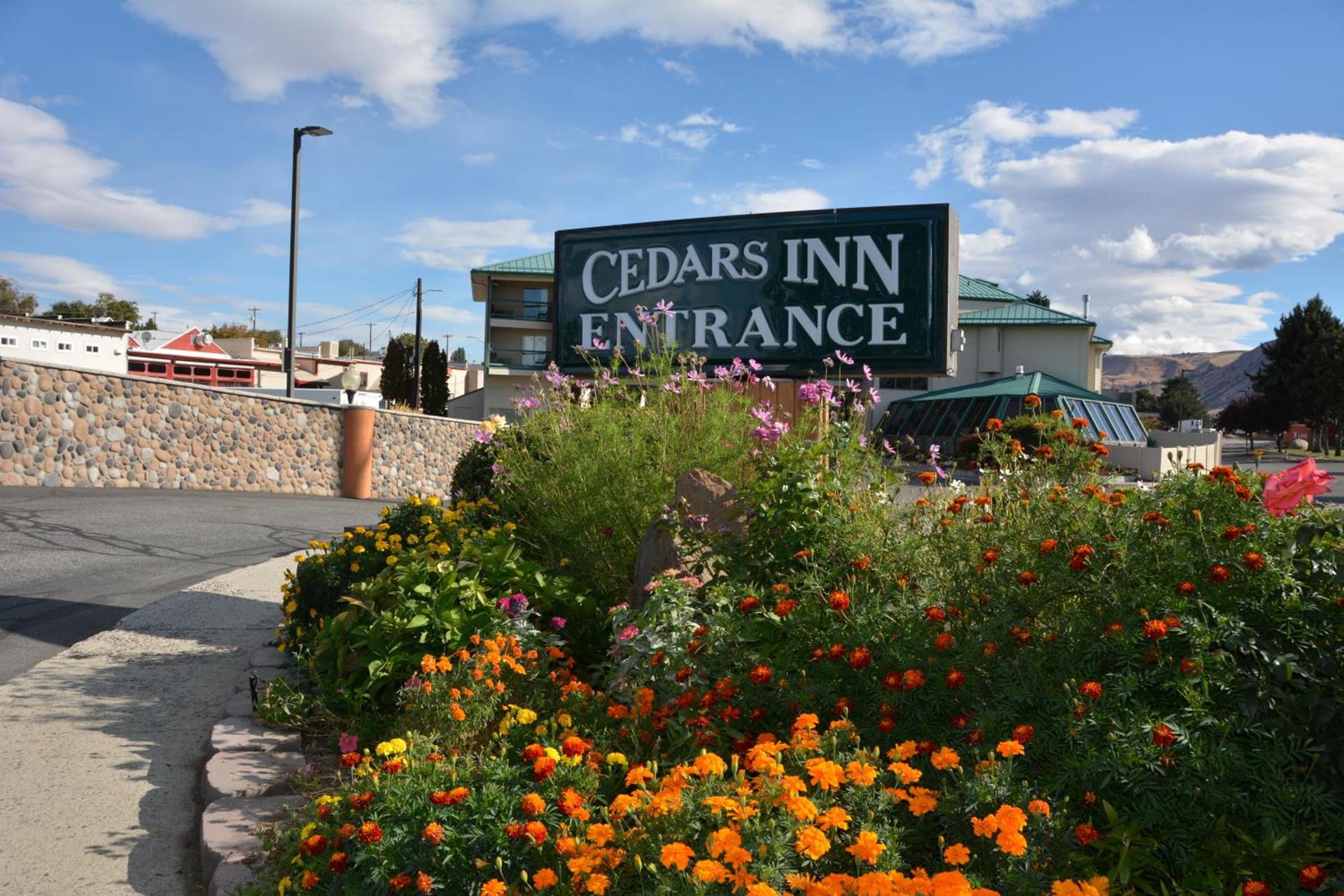 Cedars Inn photo 48
