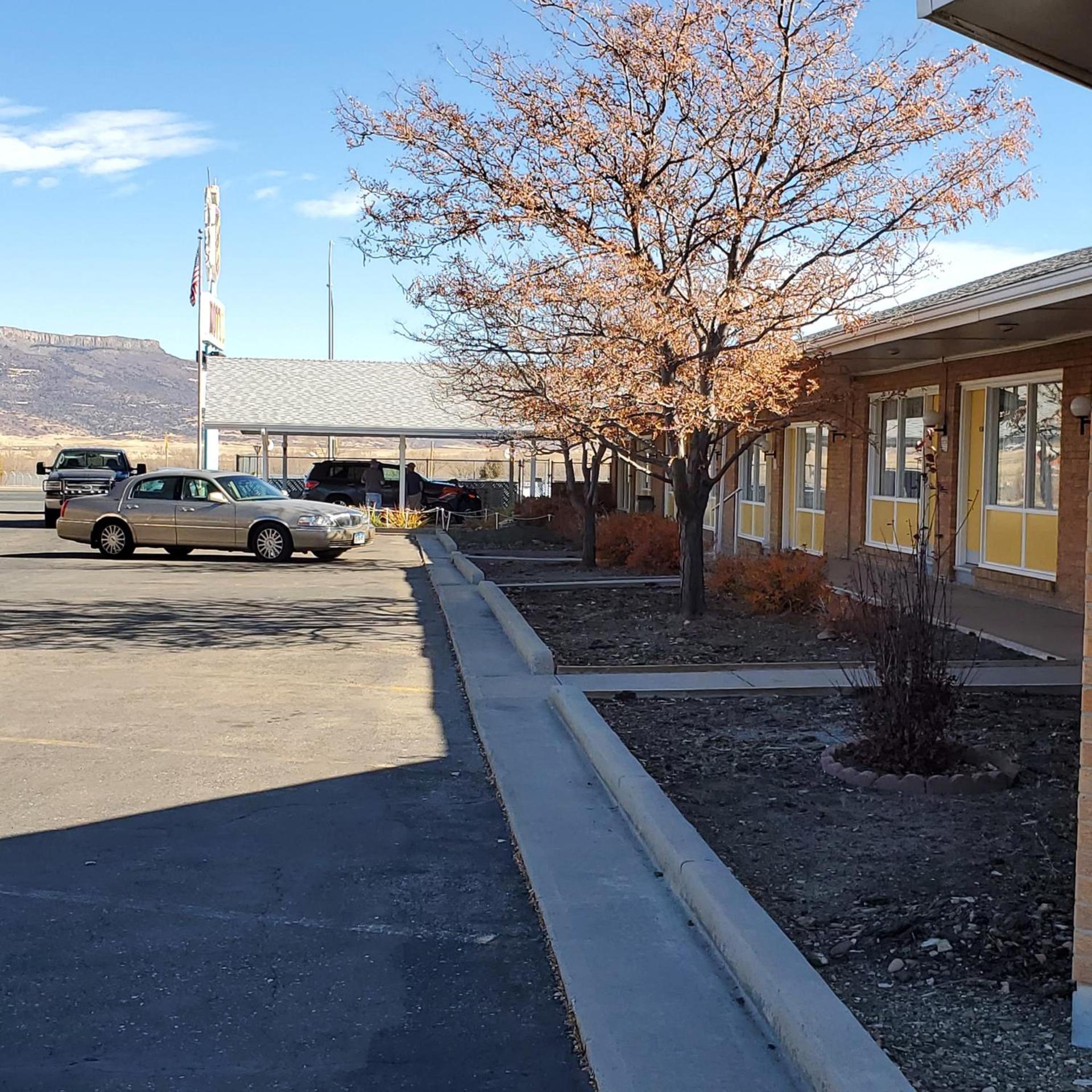 Robin Hood Motel photo 43