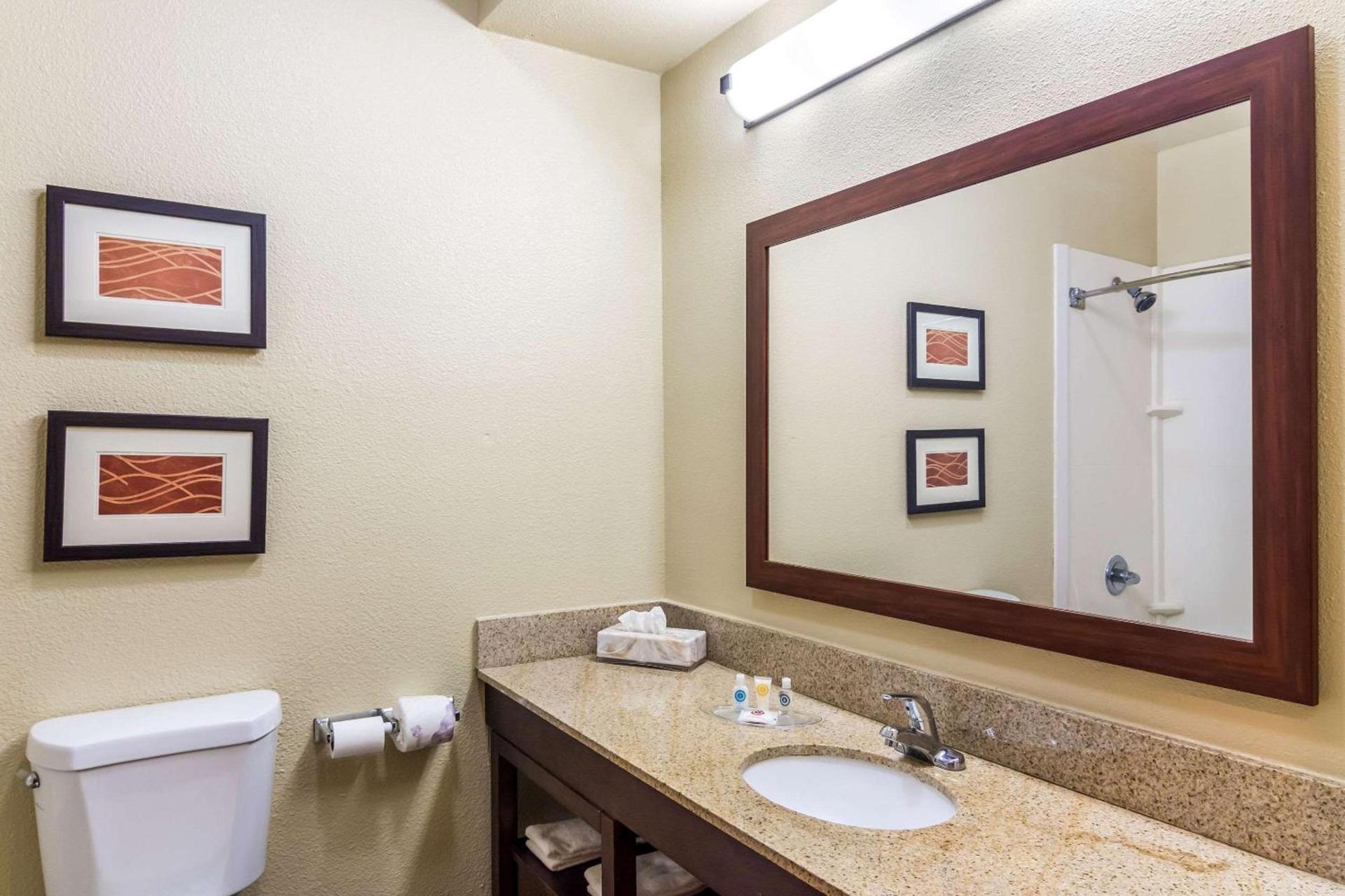 Comfort Suites Eufaula North photo 26