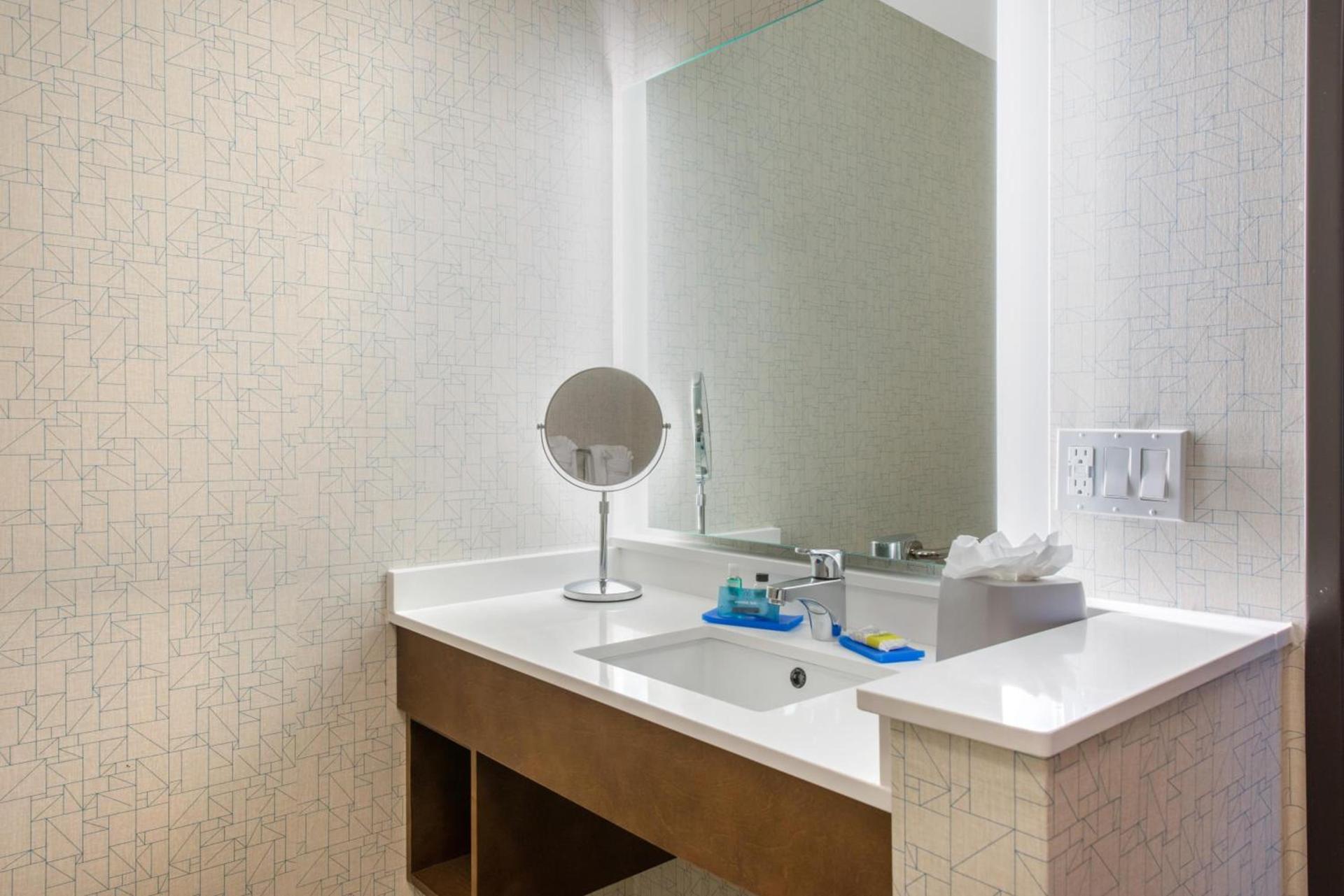 Holiday Inn Express & Suites Alachua - Gainesville Area by IHG photo 47