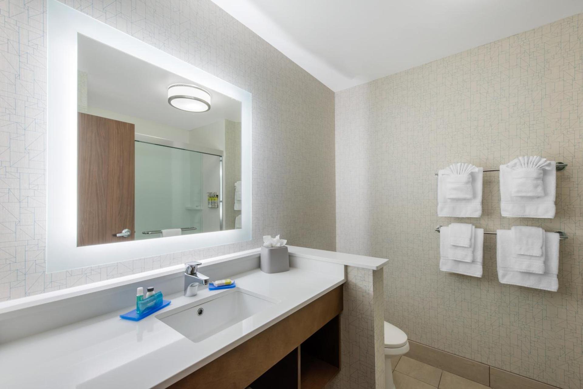 Holiday Inn Express & Suites Alachua - Gainesville Area by IHG photo 50