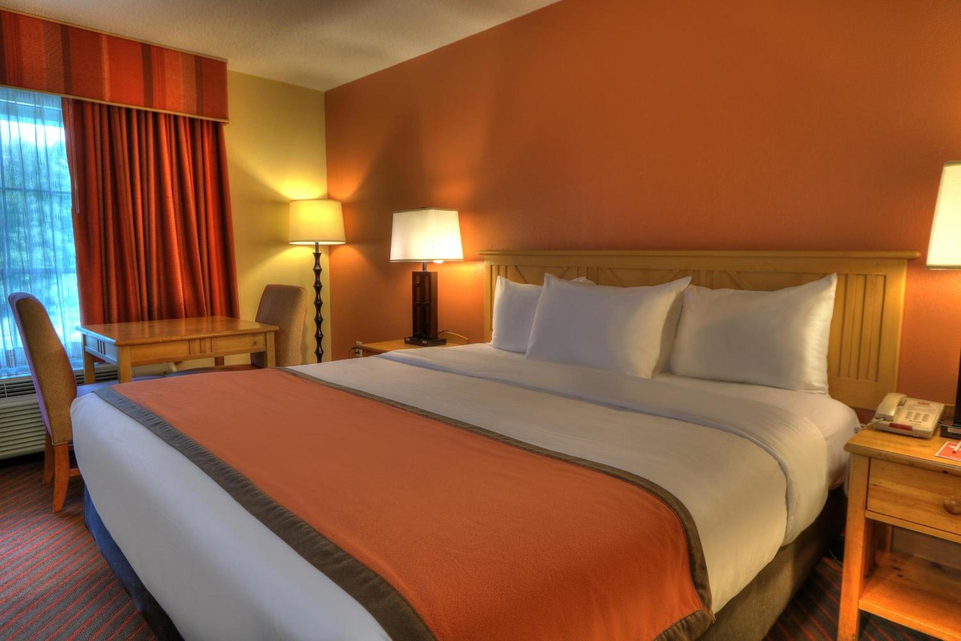 Econo Lodge Pigeon Forge Riverside photo 86