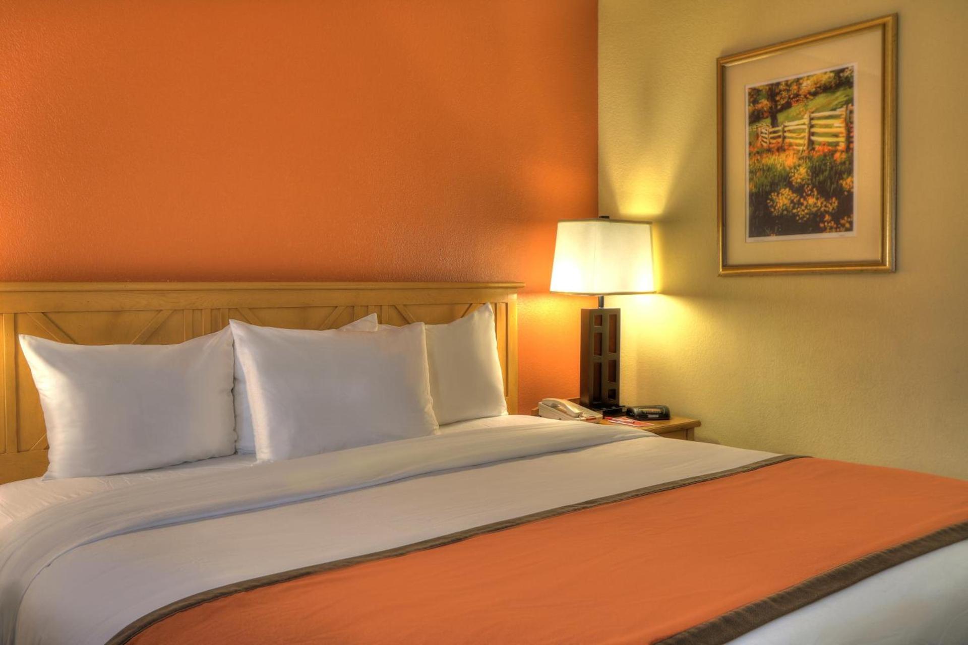 Econo Lodge Pigeon Forge Riverside photo 85