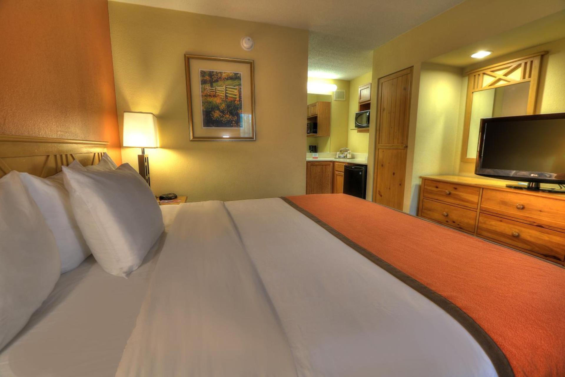 Econo Lodge Pigeon Forge Riverside photo 84
