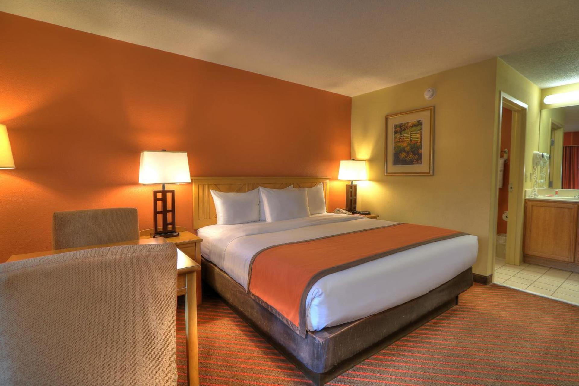 Econo Lodge Pigeon Forge Riverside photo 83