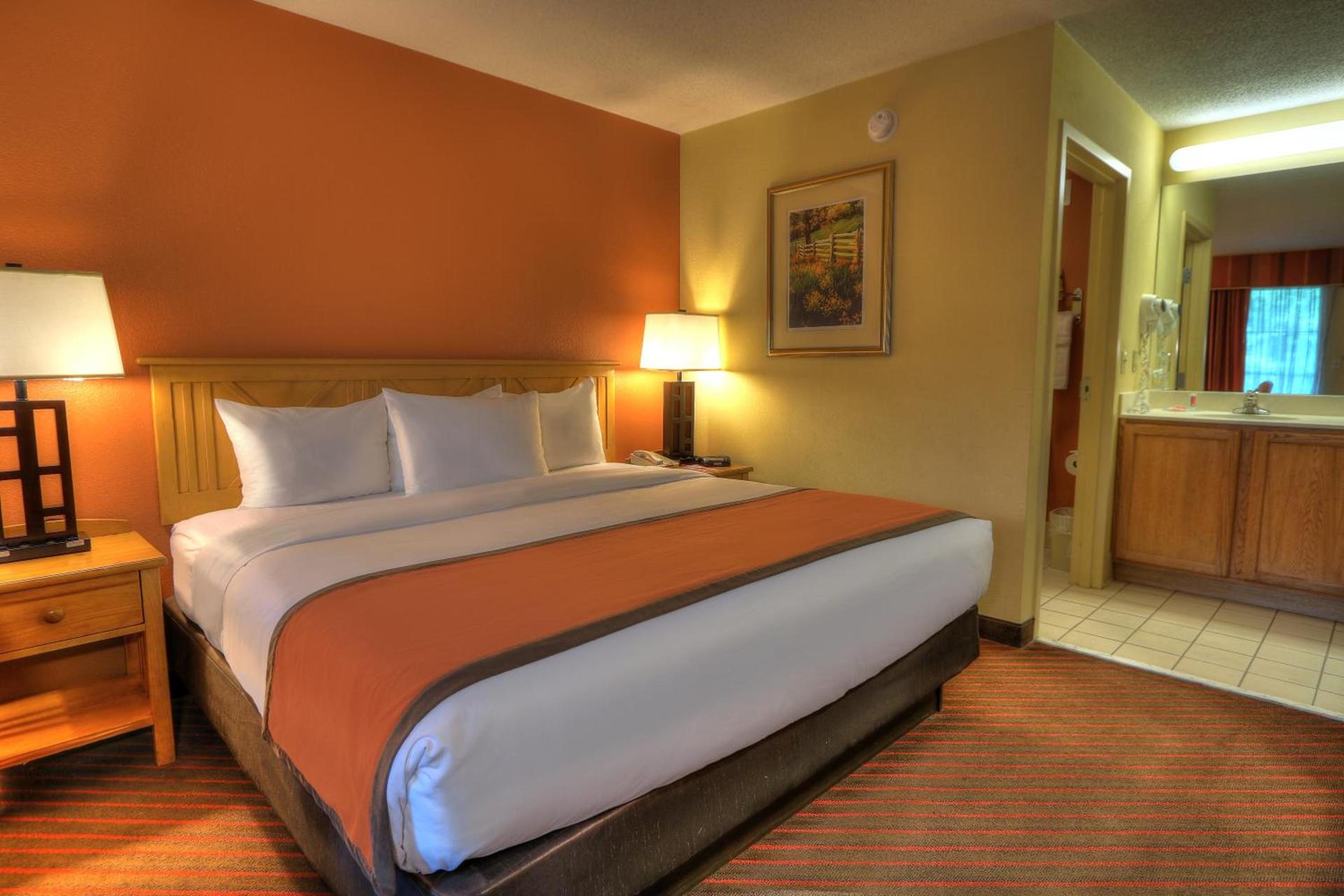 Econo Lodge Pigeon Forge Riverside photo 88