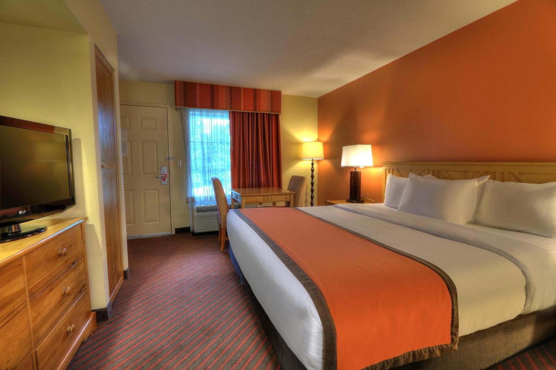 Econo Lodge Pigeon Forge Riverside photo 87