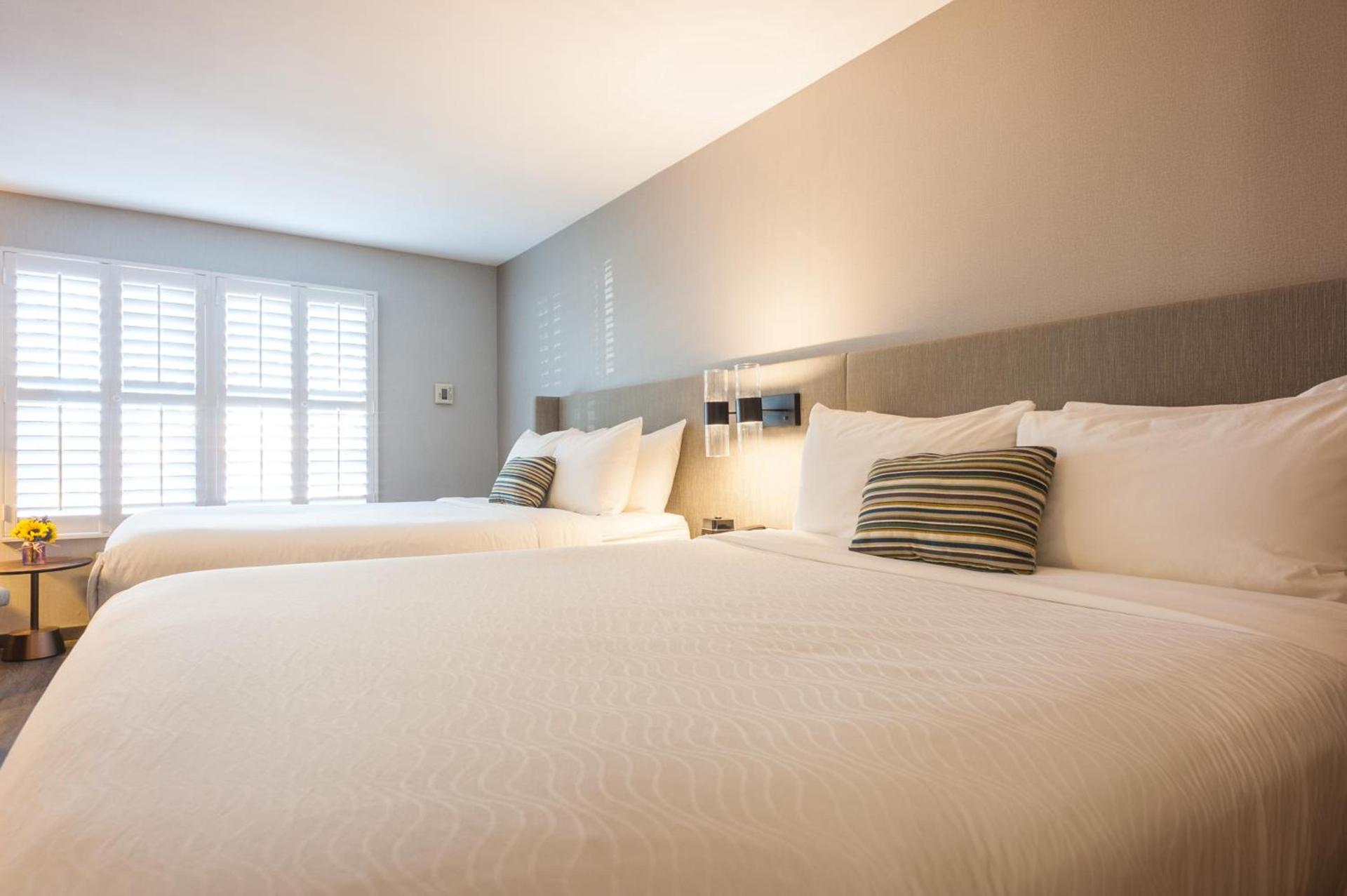 Hotel Indigo Napa Valley by IHG photo 5