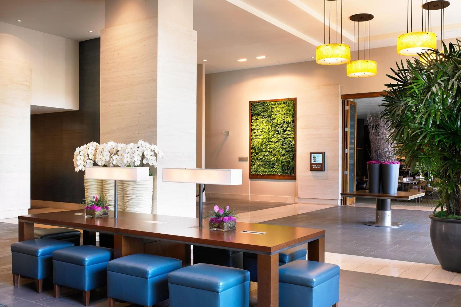 The Westin Bellevue photo 7
