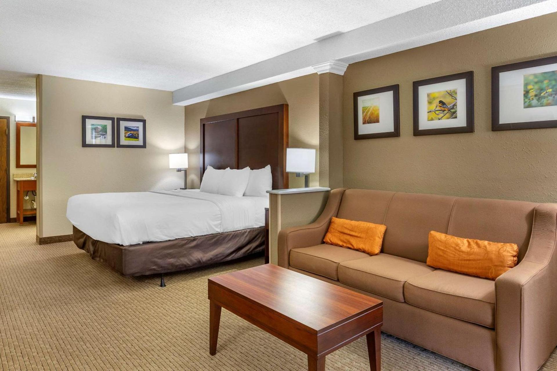 Comfort Inn & Suites near Danville Mall photo 18