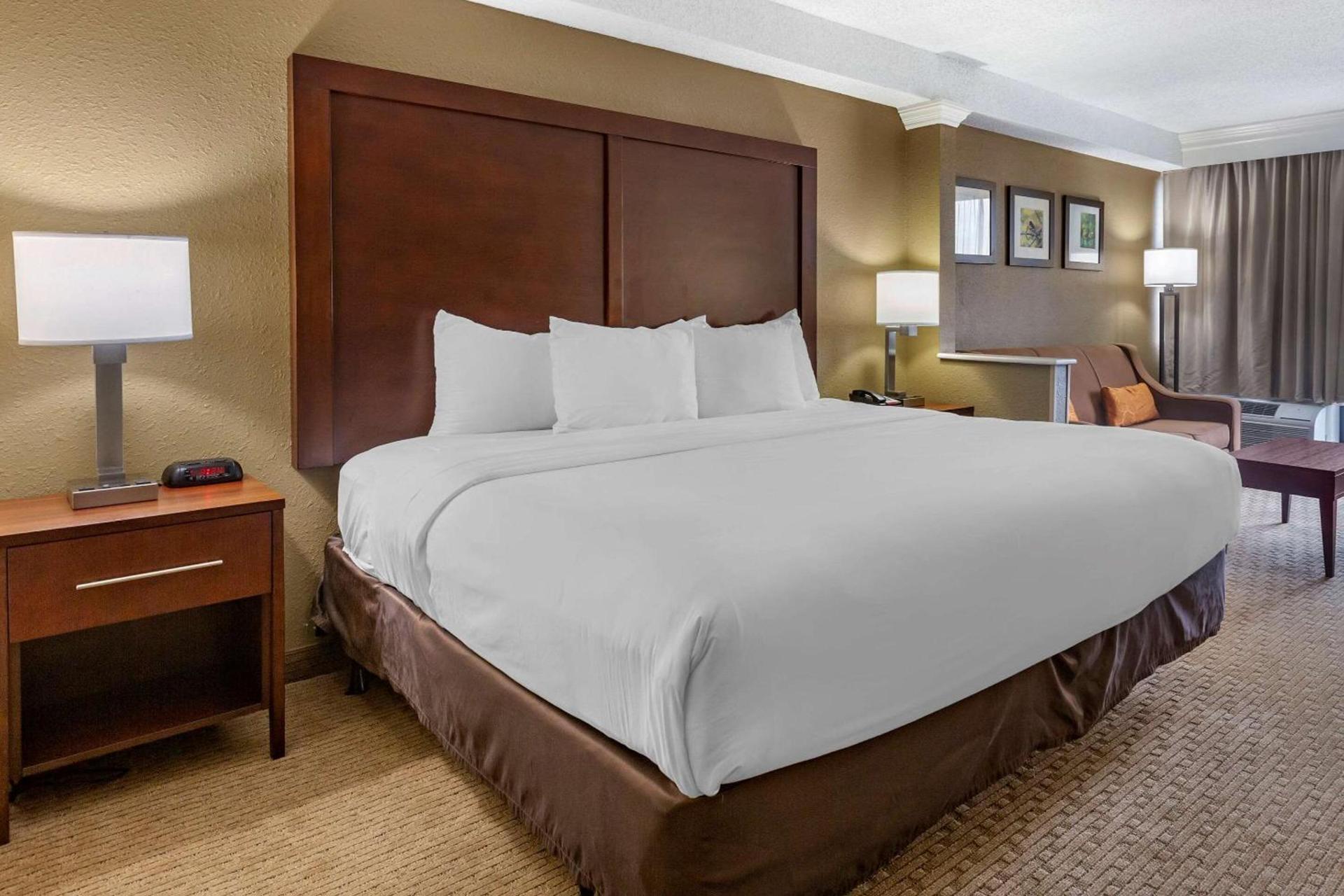 Comfort Inn & Suites near Danville Mall photo 20