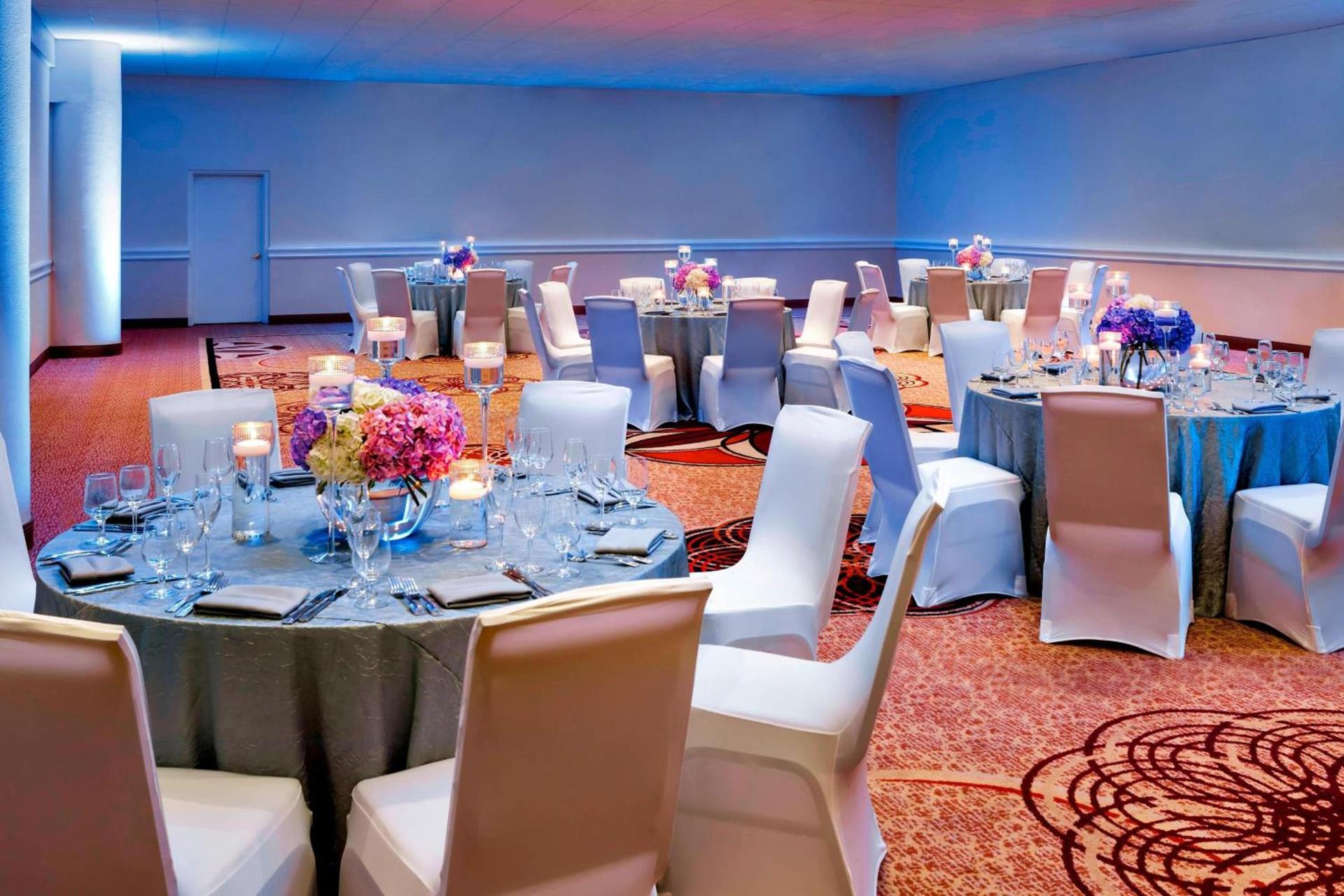 Sheraton Tampa Brandon Hotel photo 31