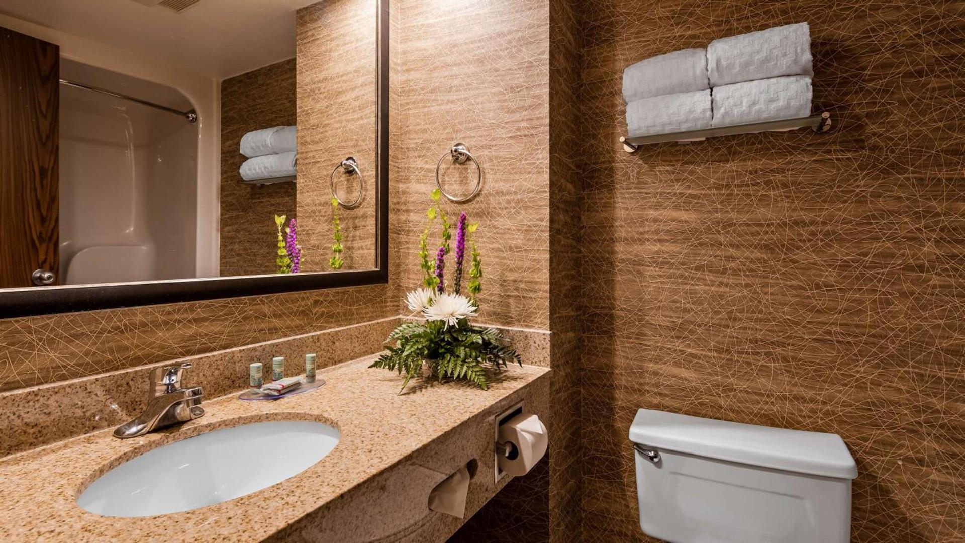 Best Western Detroit Livonia photo 28