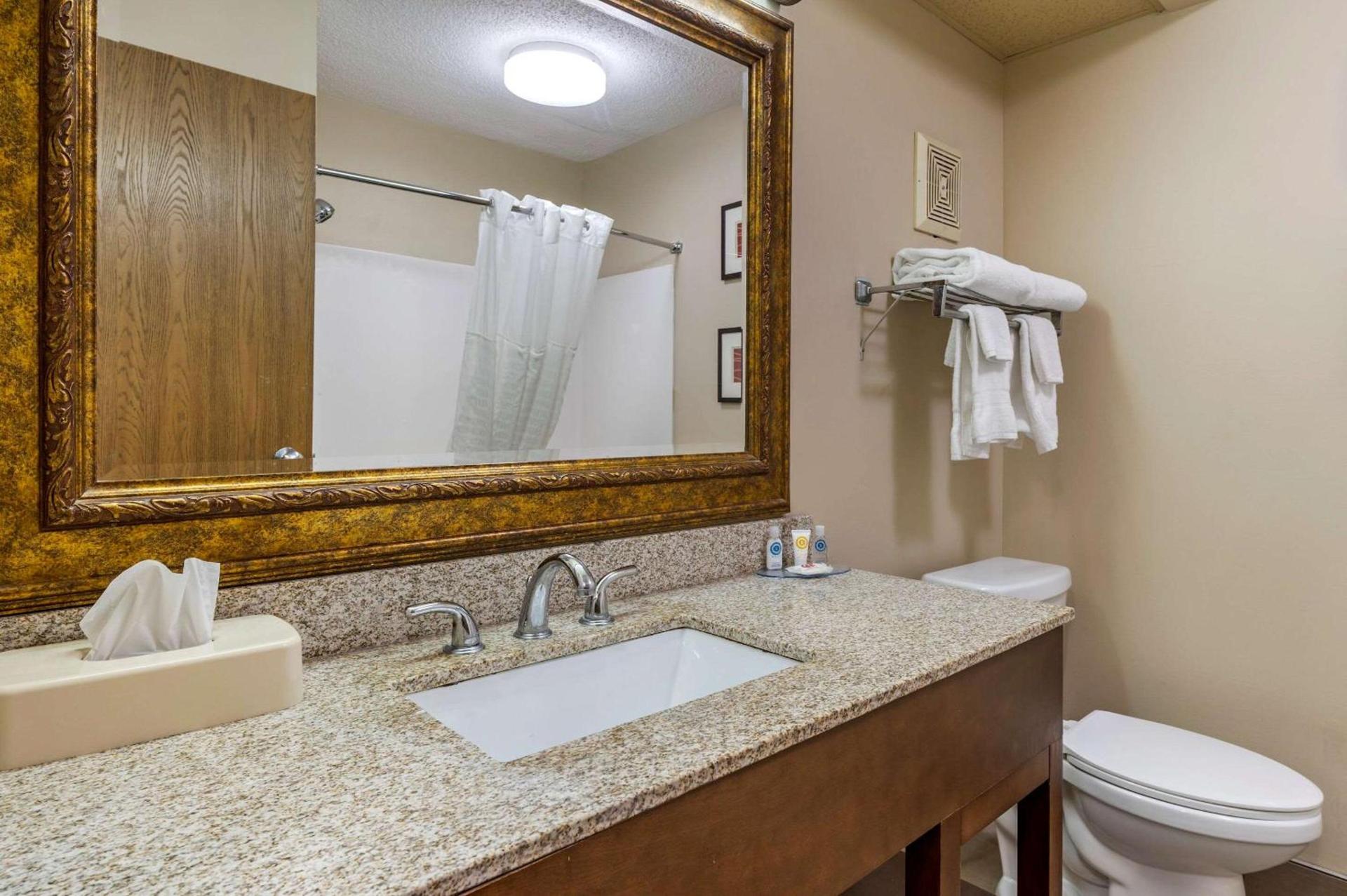 Comfort Inn Lexington I-75 photo 9