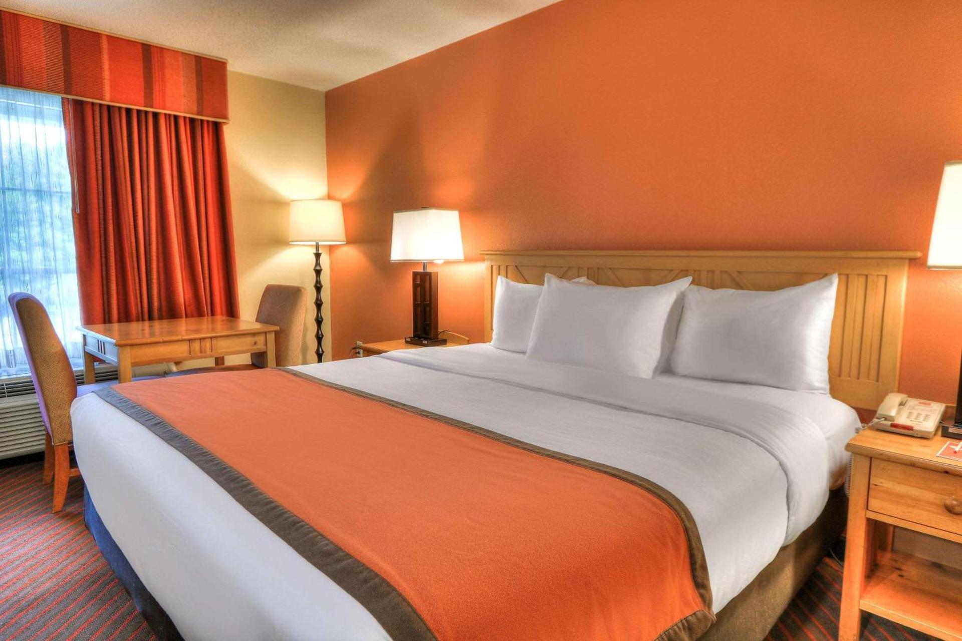 Econo Lodge Pigeon Forge Riverside photo 28
