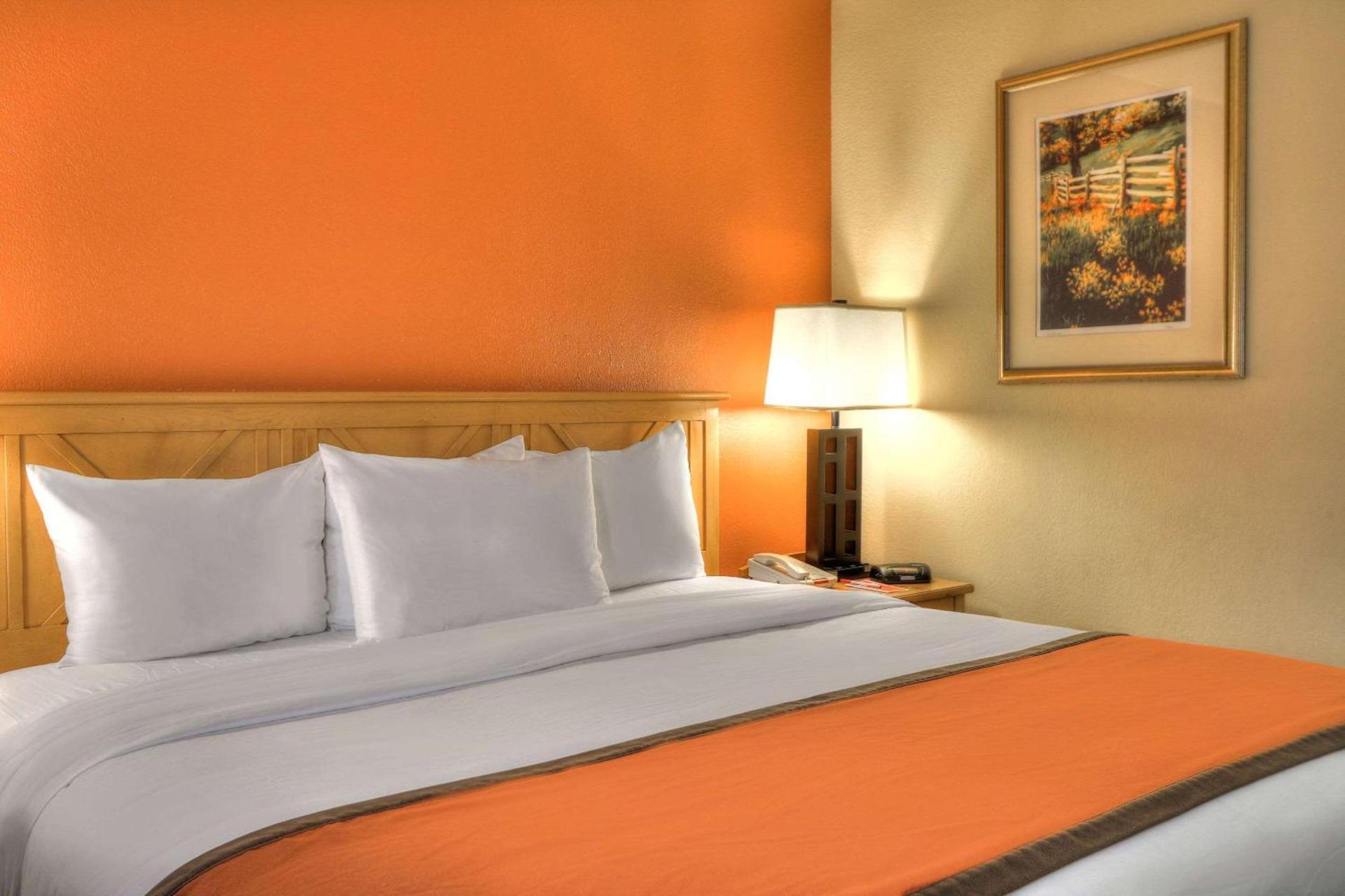 Econo Lodge Pigeon Forge Riverside photo 32