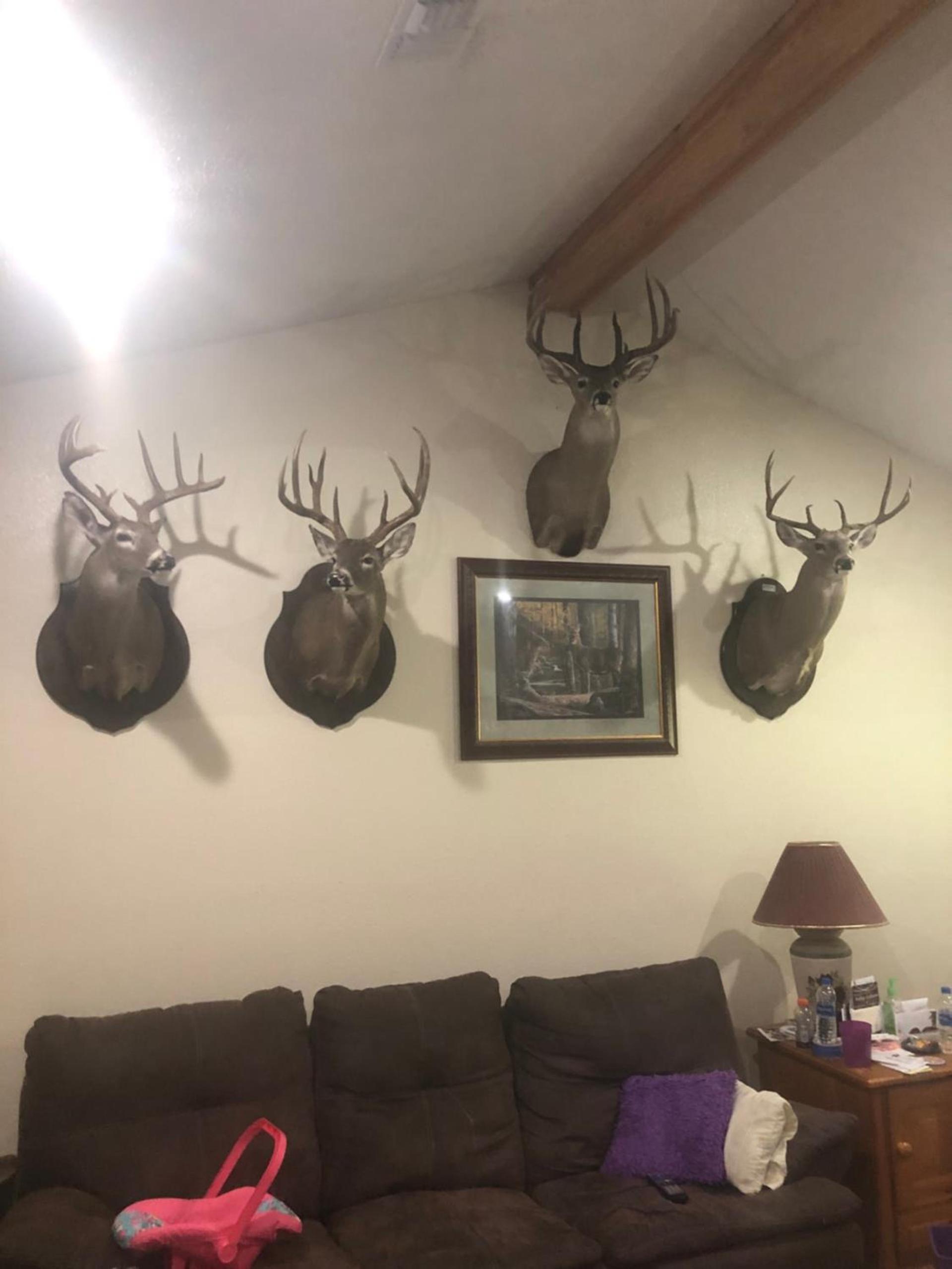 Knights Inn Bunkie photo 31