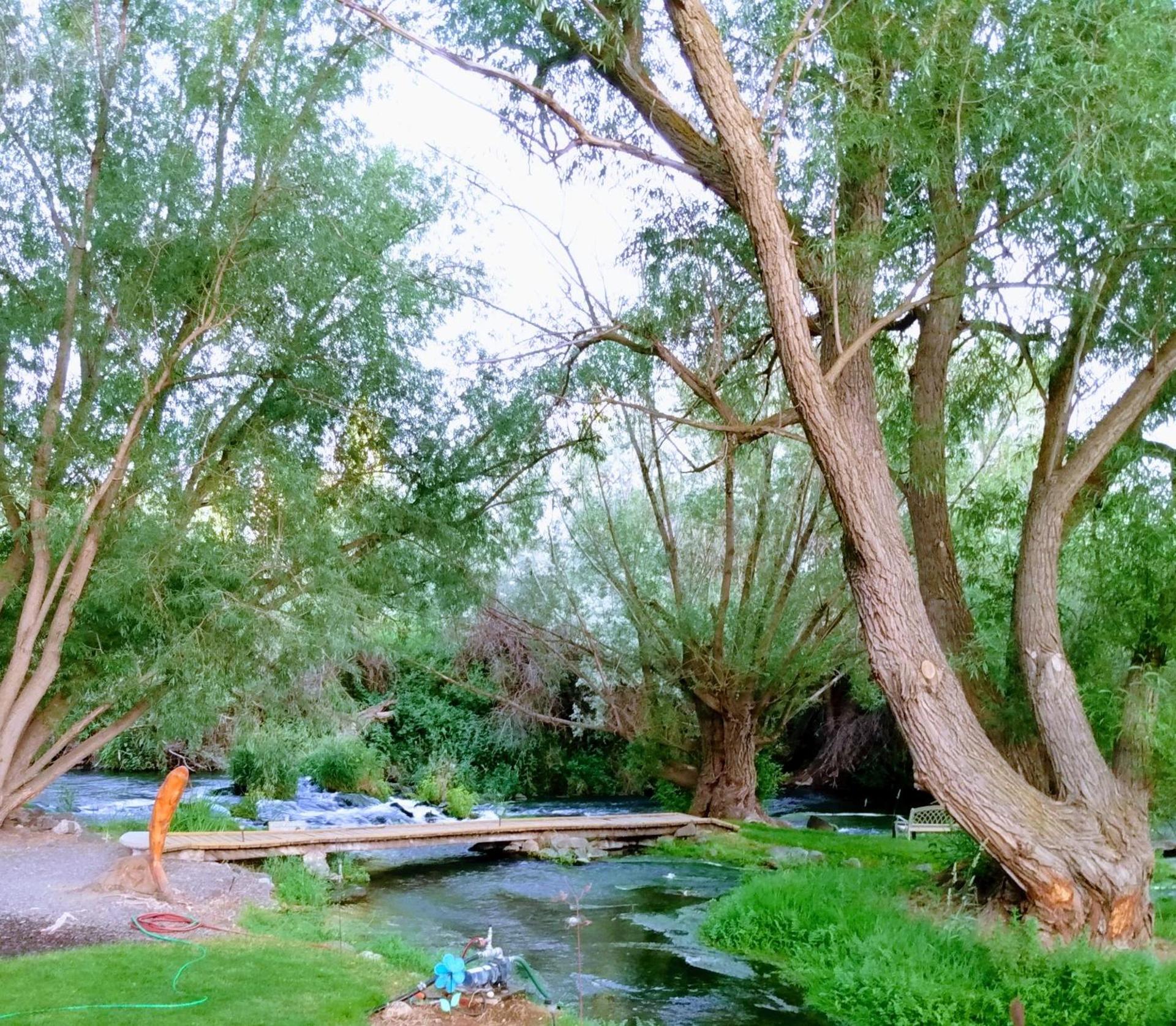 Billingsley Creek photo 32