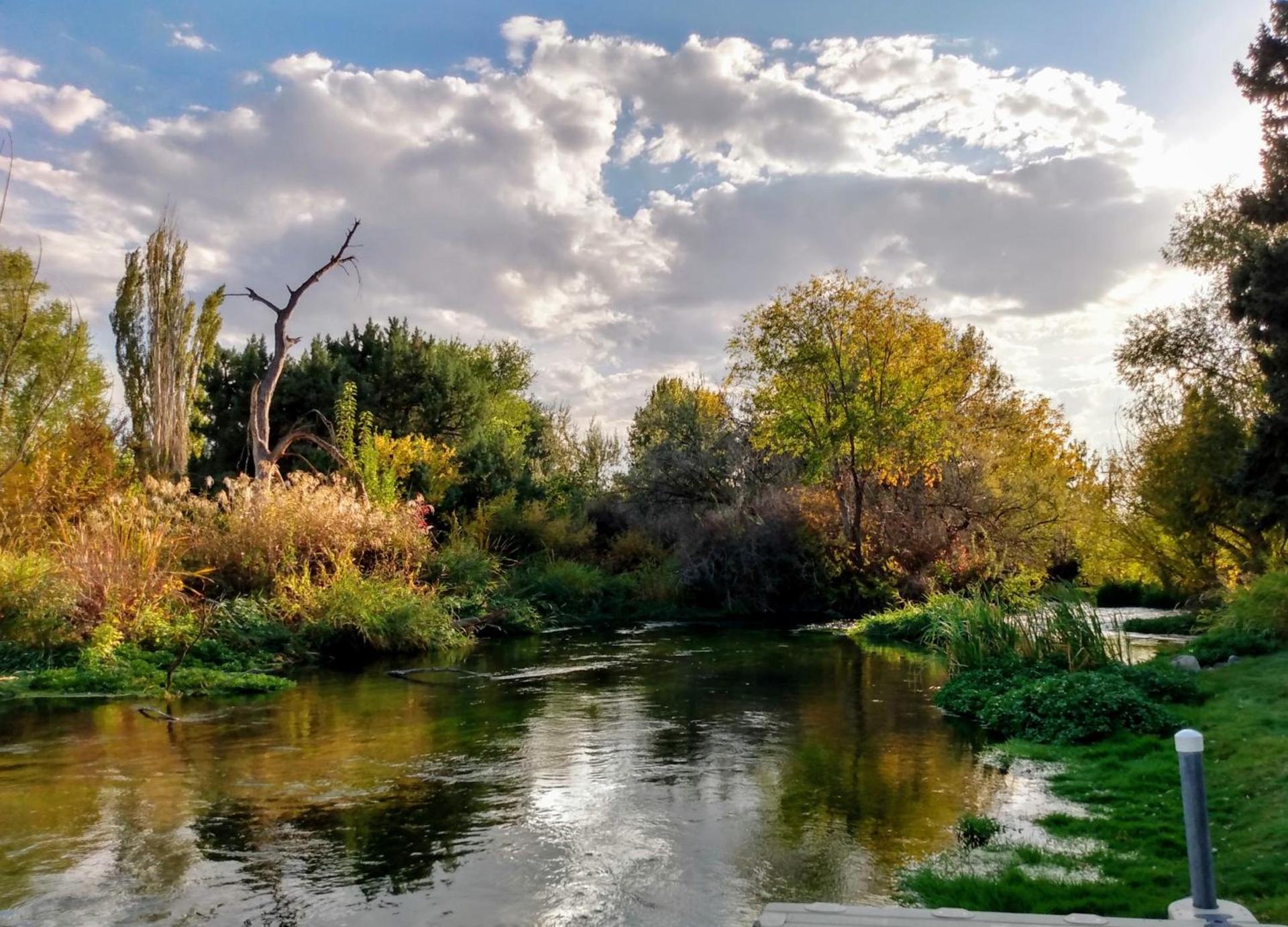 Billingsley Creek photo 34