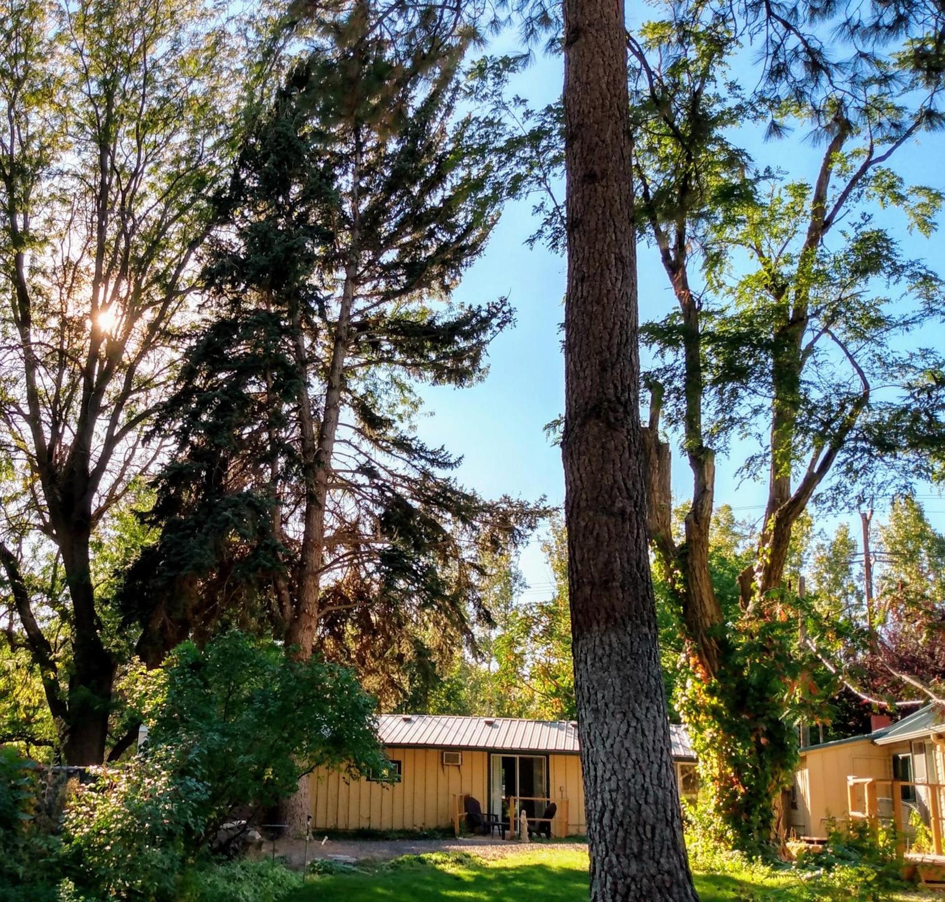 Billingsley Creek photo 35