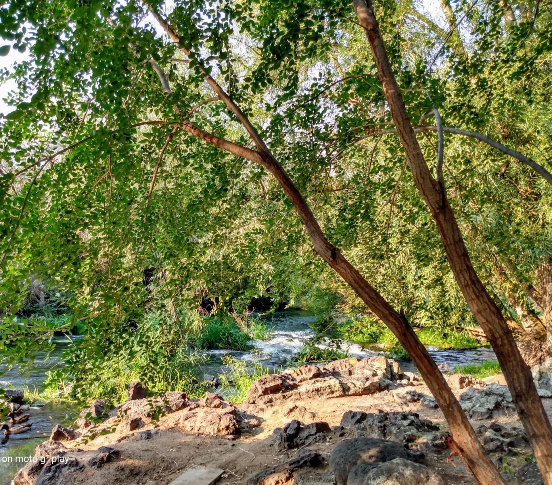 Billingsley Creek photo 36