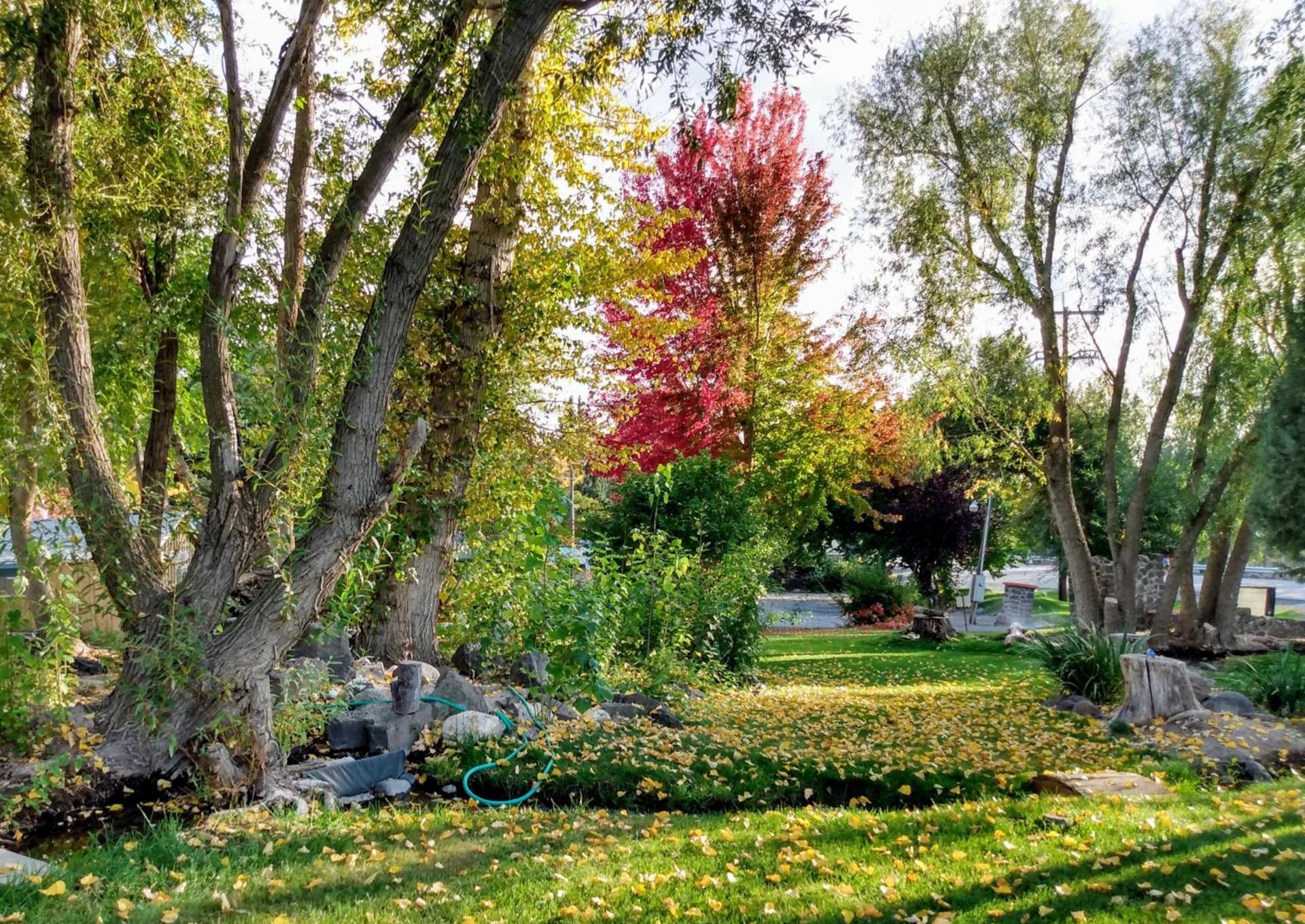 Billingsley Creek photo 41