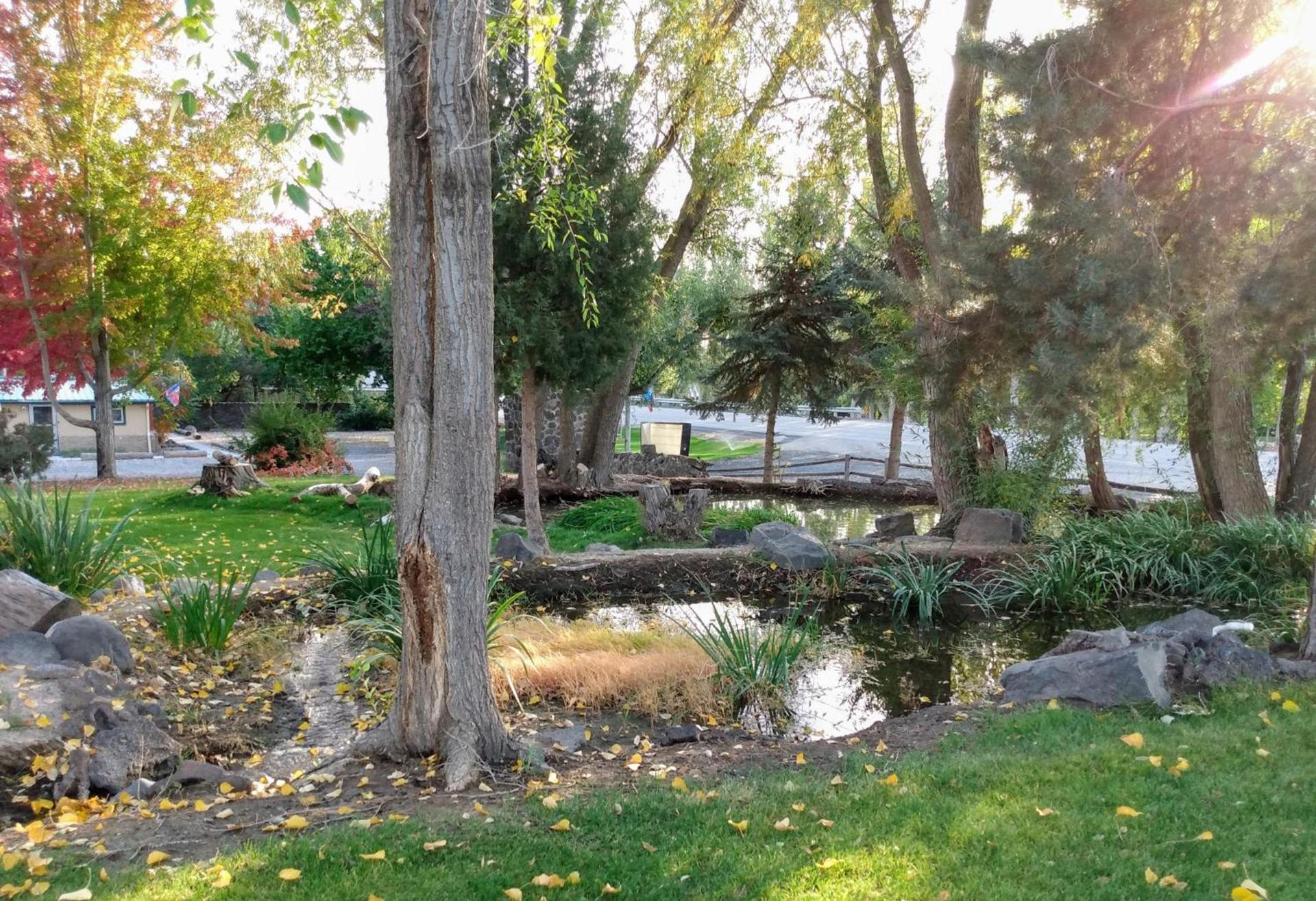 Billingsley Creek photo 42