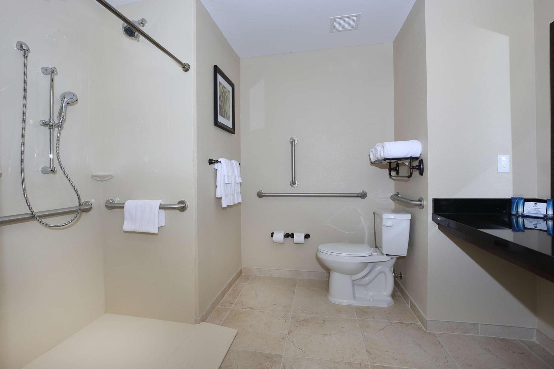 Best Western Plus Hudson Hotel & Suites photo 35