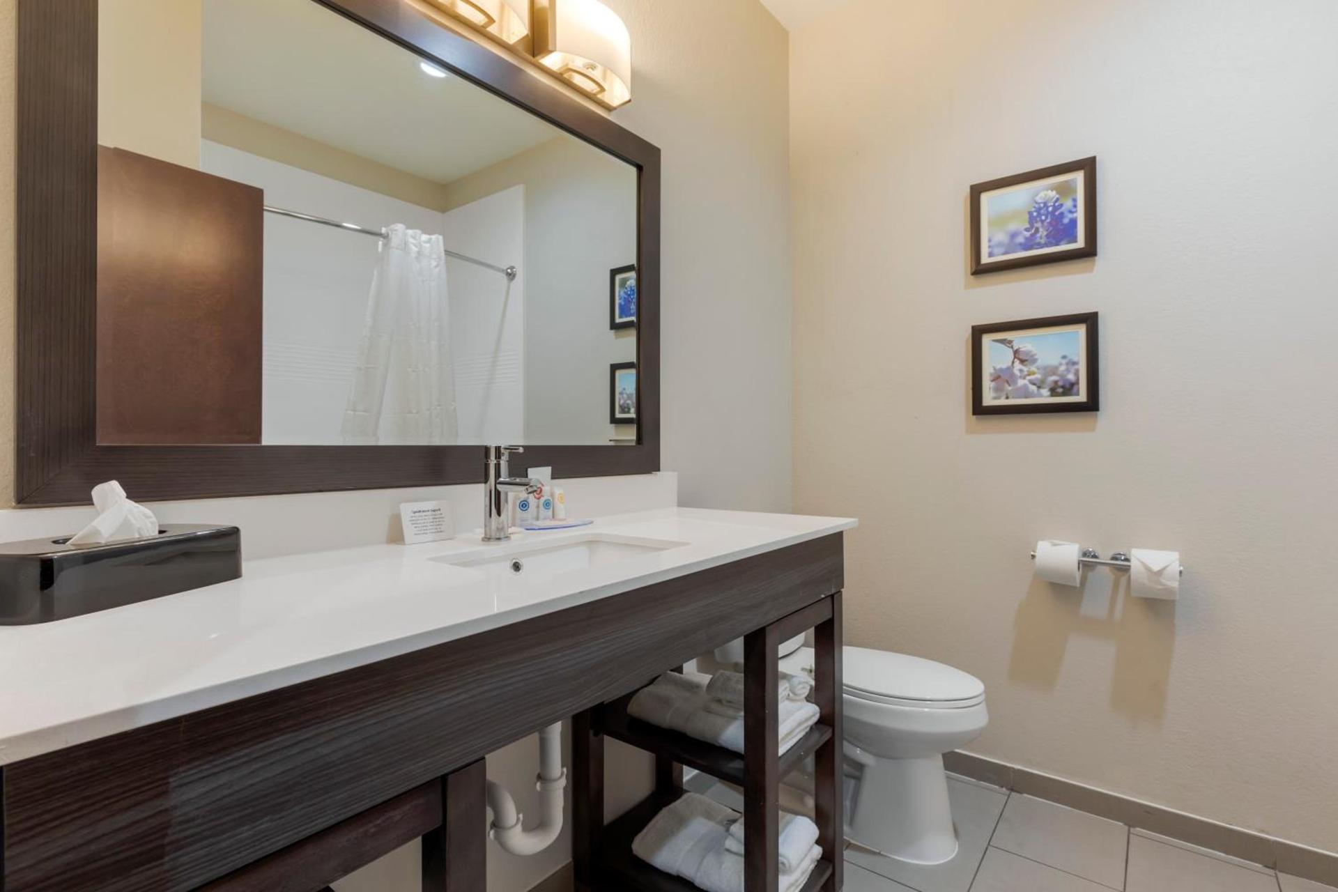Comfort Inn & Suites Balch Springs - SE Dallas photo 51